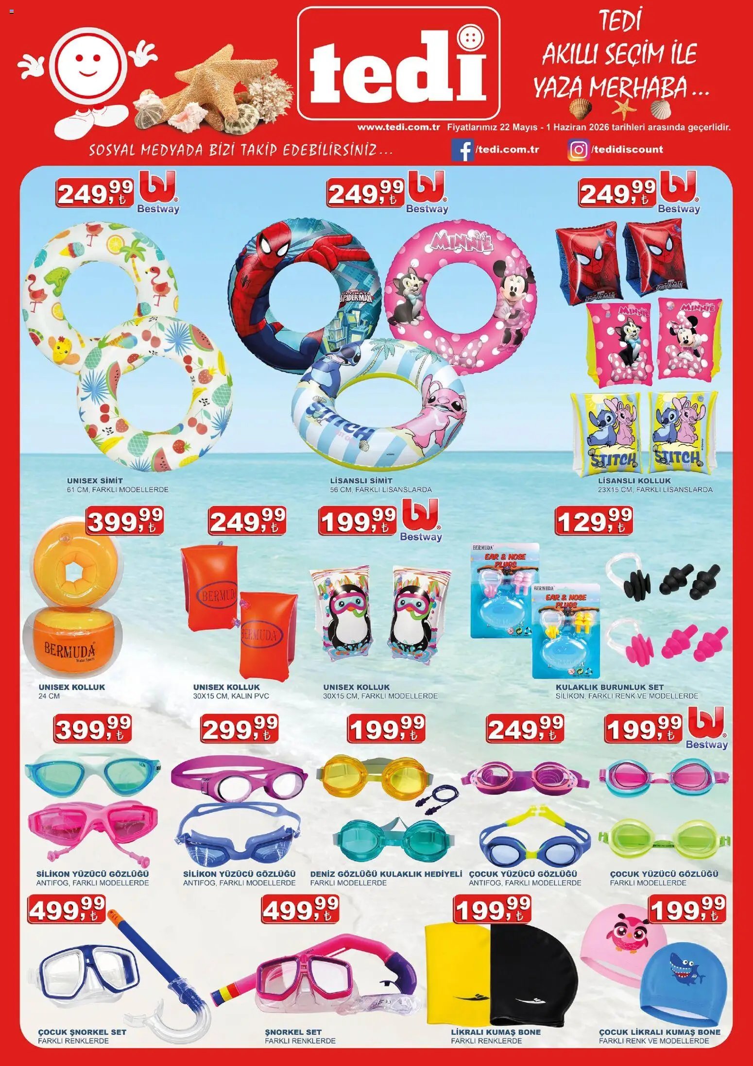 Tedi  Katalog