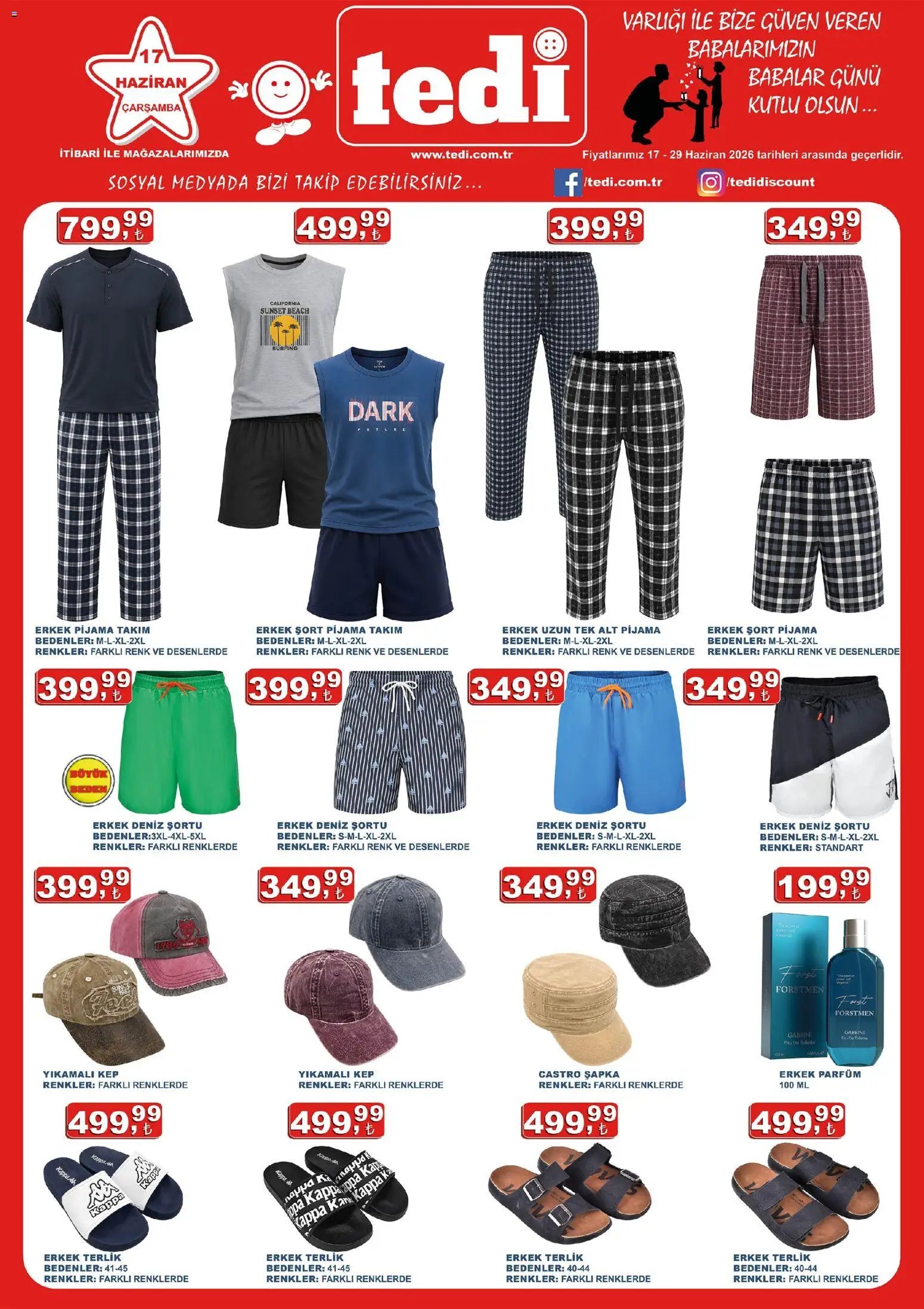 Tedi  Katalog