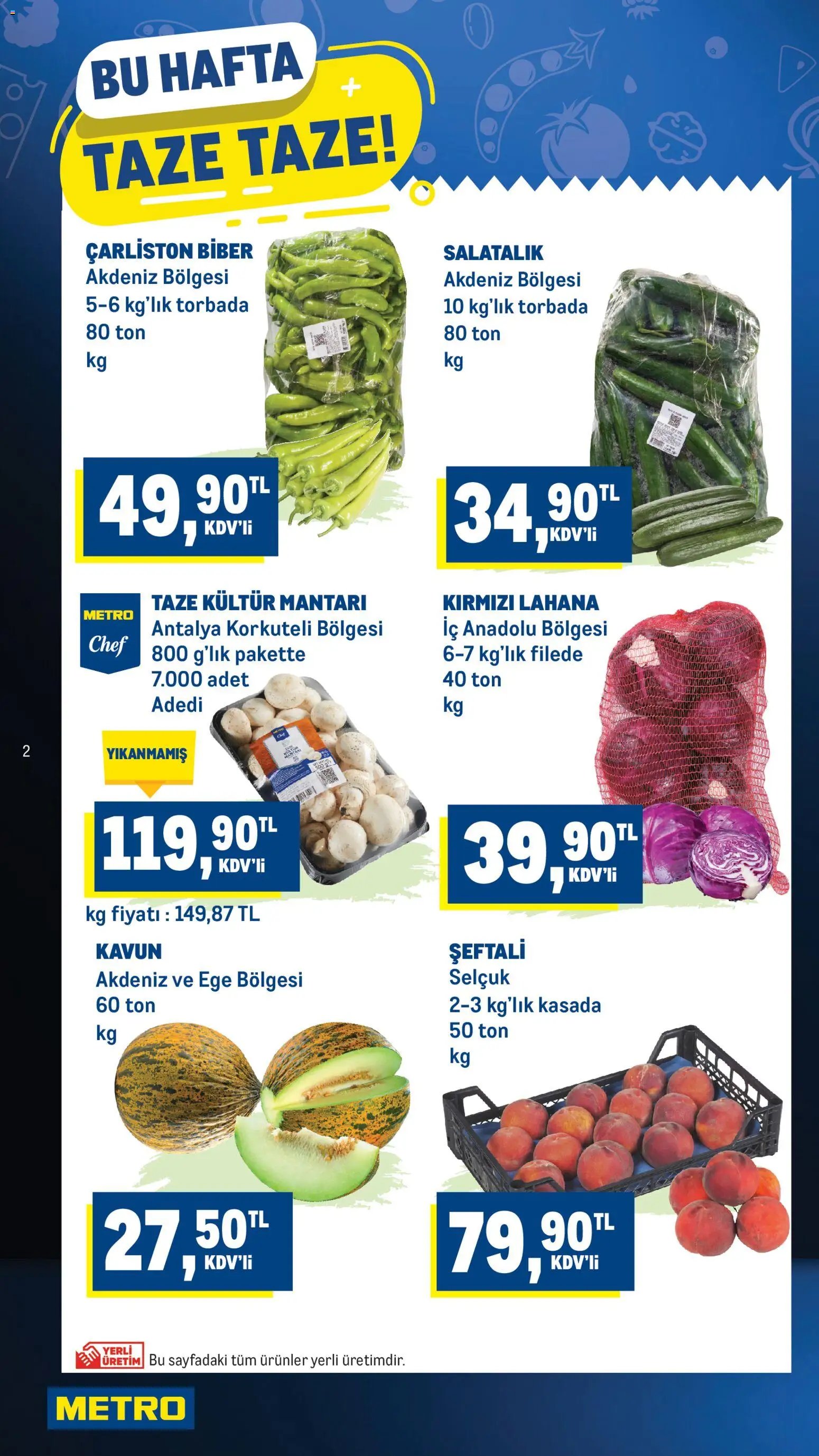 Metro Katalog
