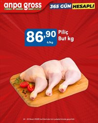 Anpa Gross - Piliç