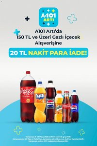 A101 - Arti