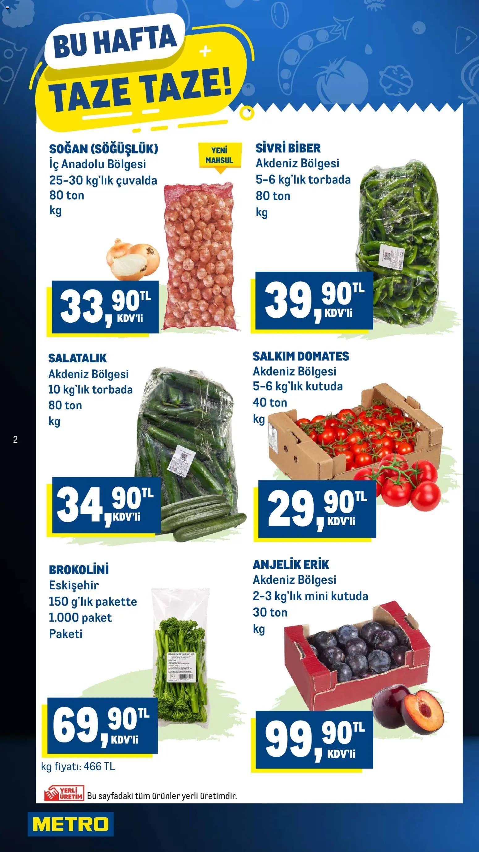 Metro Katalog