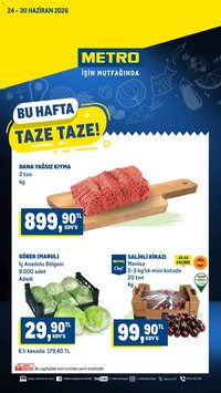 Metro Katalog