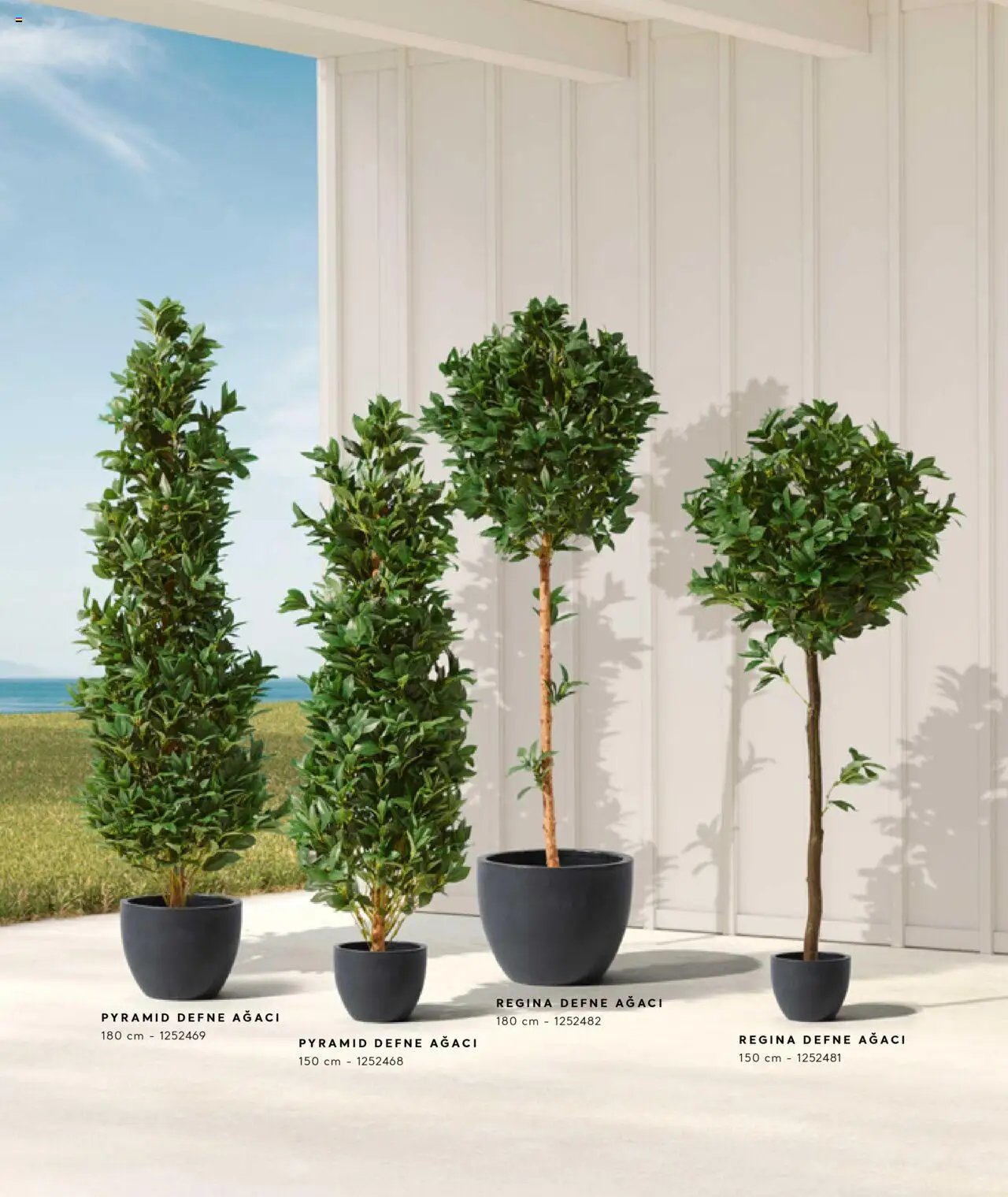 Mudo Katalog - AĞAÇ 2025