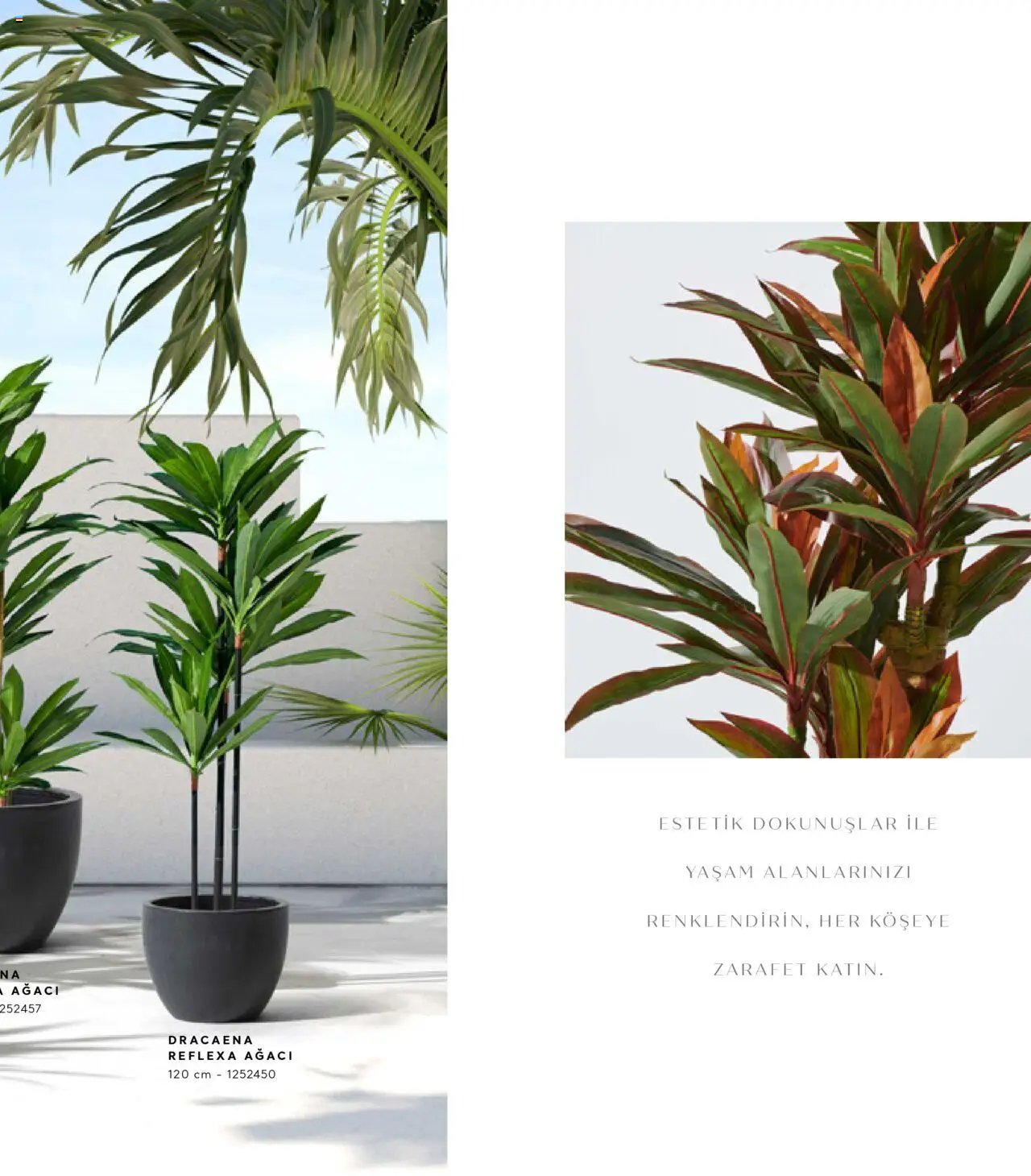 Mudo Katalog - AĞAÇ 2025