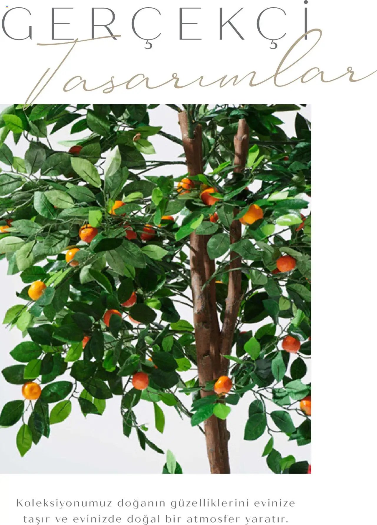 Mudo Katalog - AĞAÇ 2025