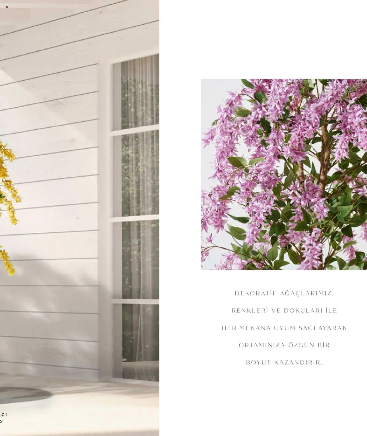 Mudo Katalog - AĞAÇ 2025