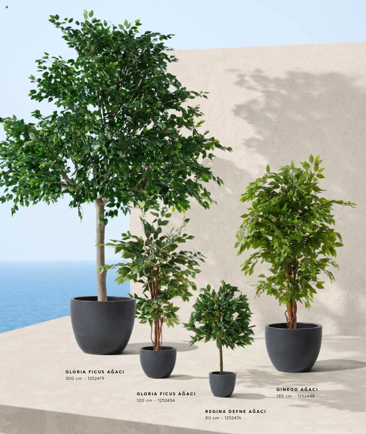 Mudo Katalog - AĞAÇ 2025