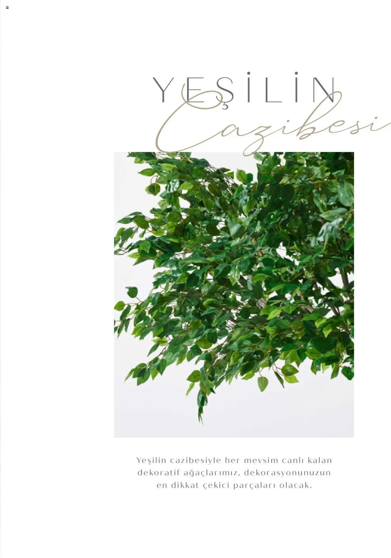 Mudo Katalog - AĞAÇ 2025