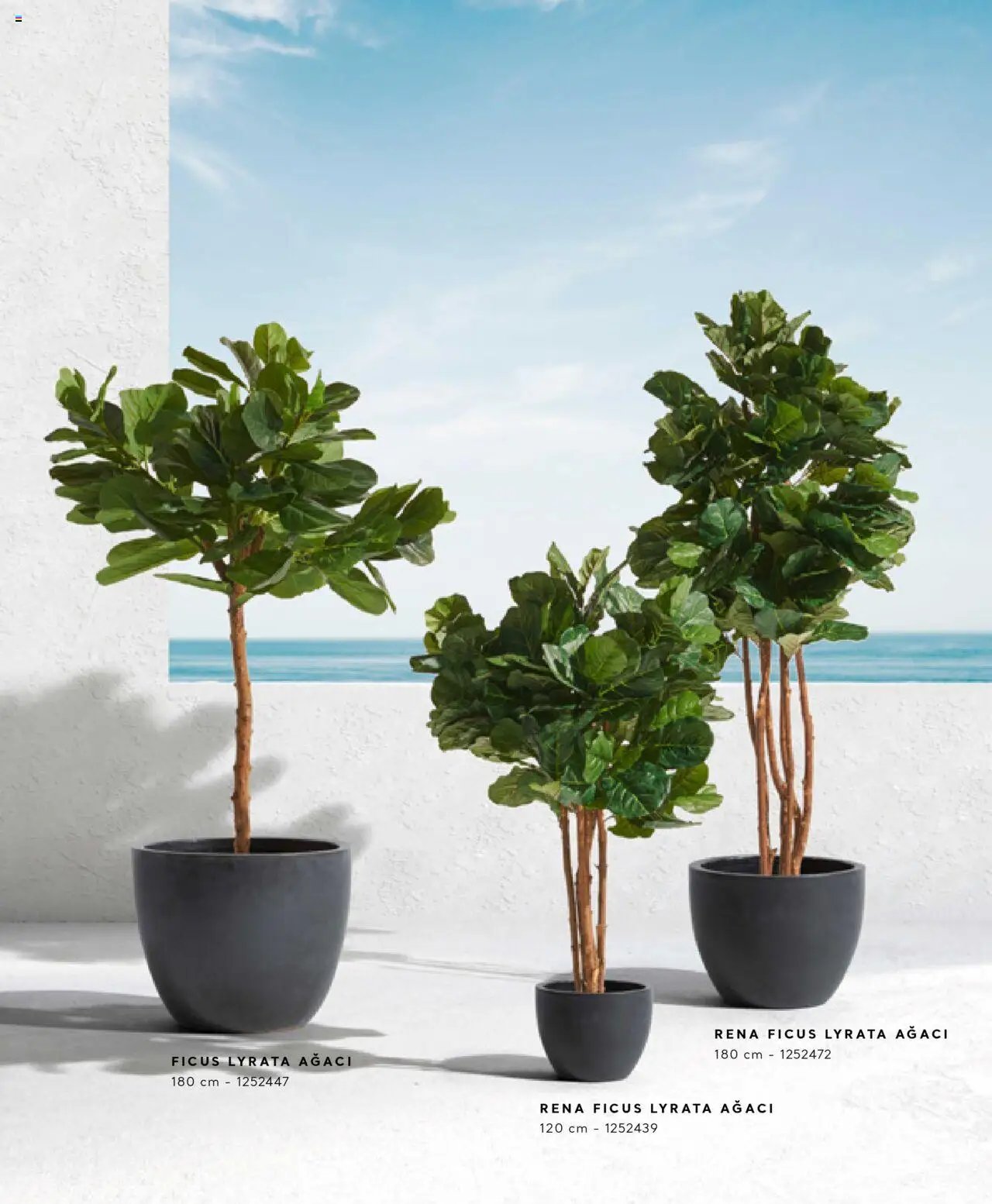 Mudo Katalog - AĞAÇ 2025