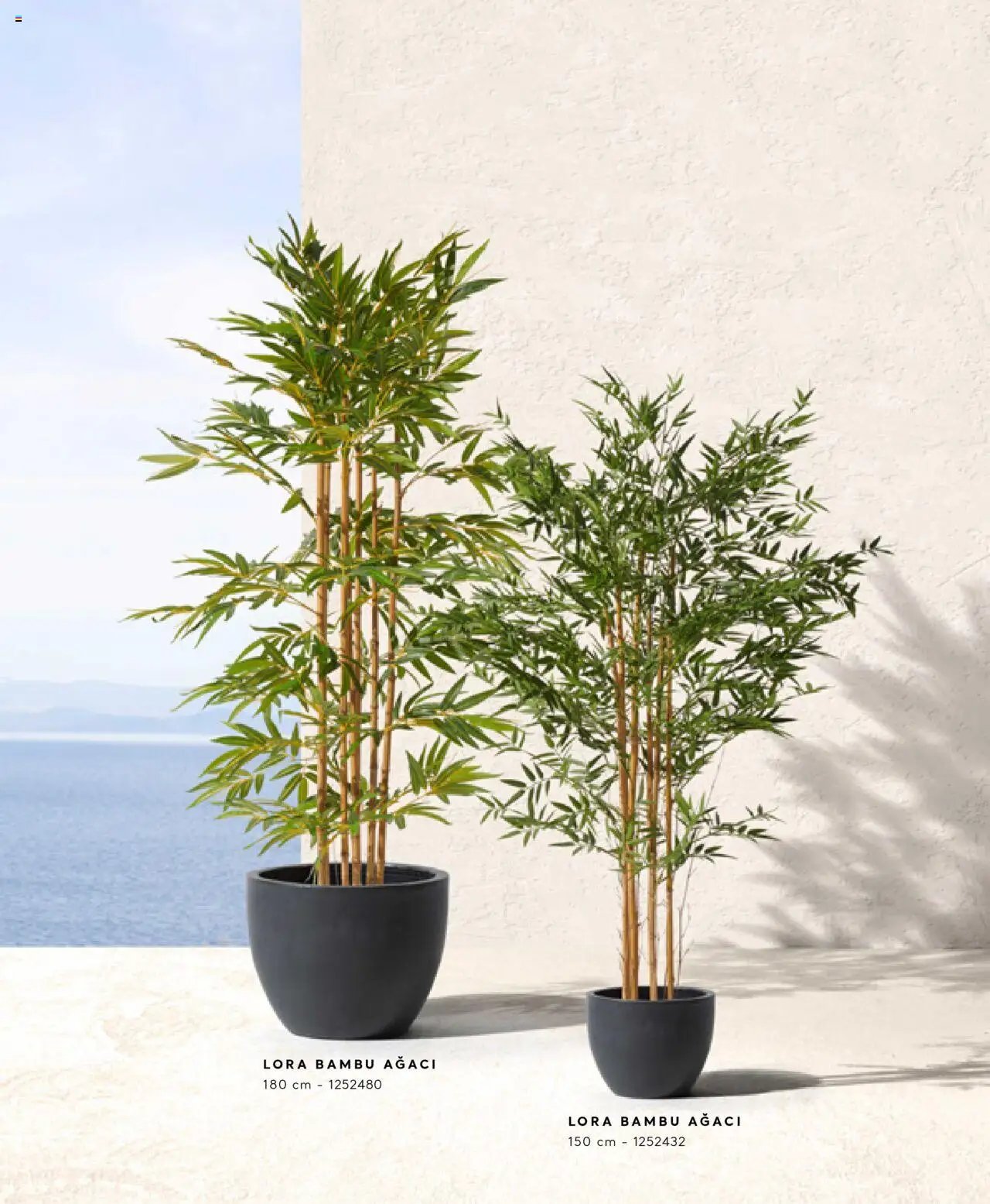 Mudo Katalog - AĞAÇ 2025