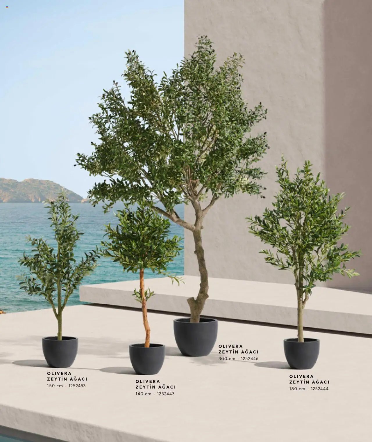 Mudo Katalog - AĞAÇ 2025