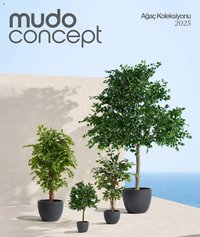 Mudo Katalog - AĞAÇ 2025