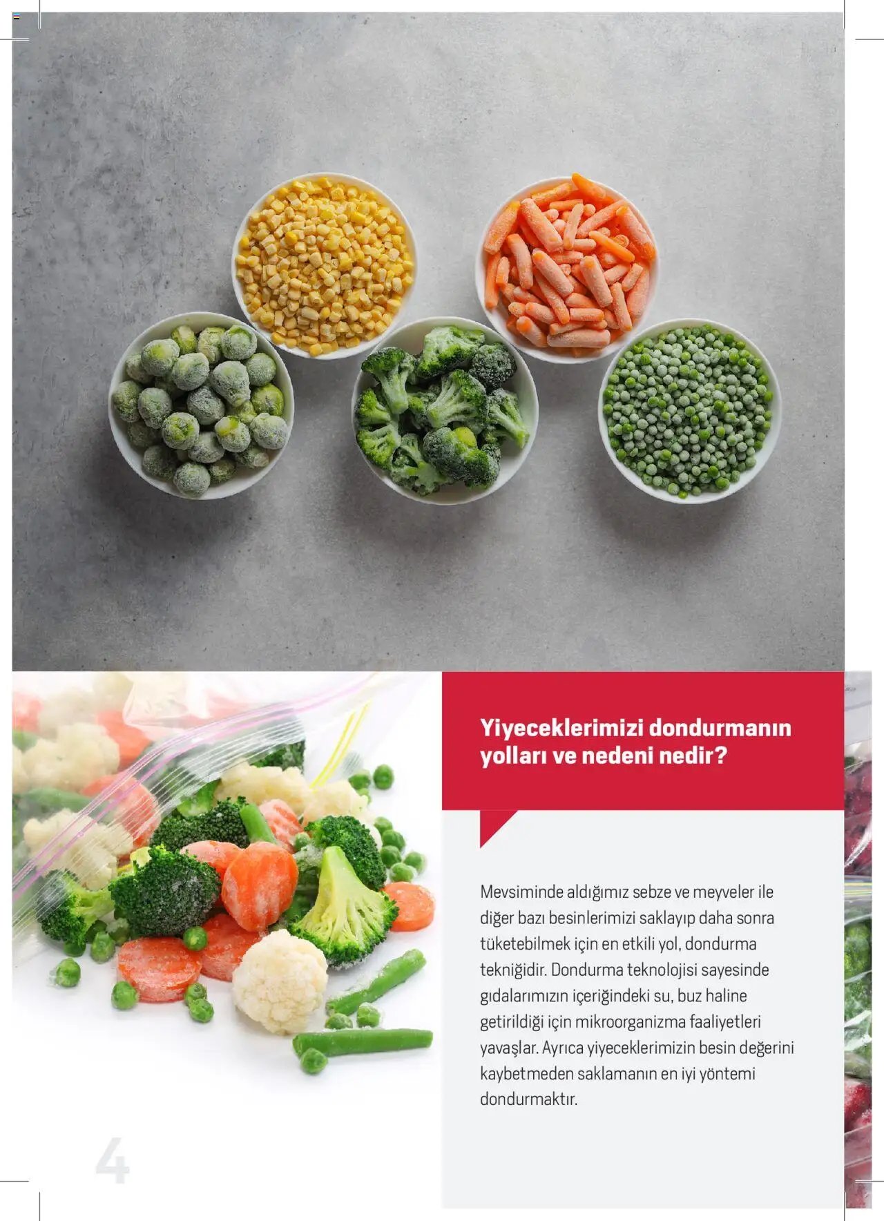 Arçelik Katalog - Dondurucu Kullanımında Püf Noktaları