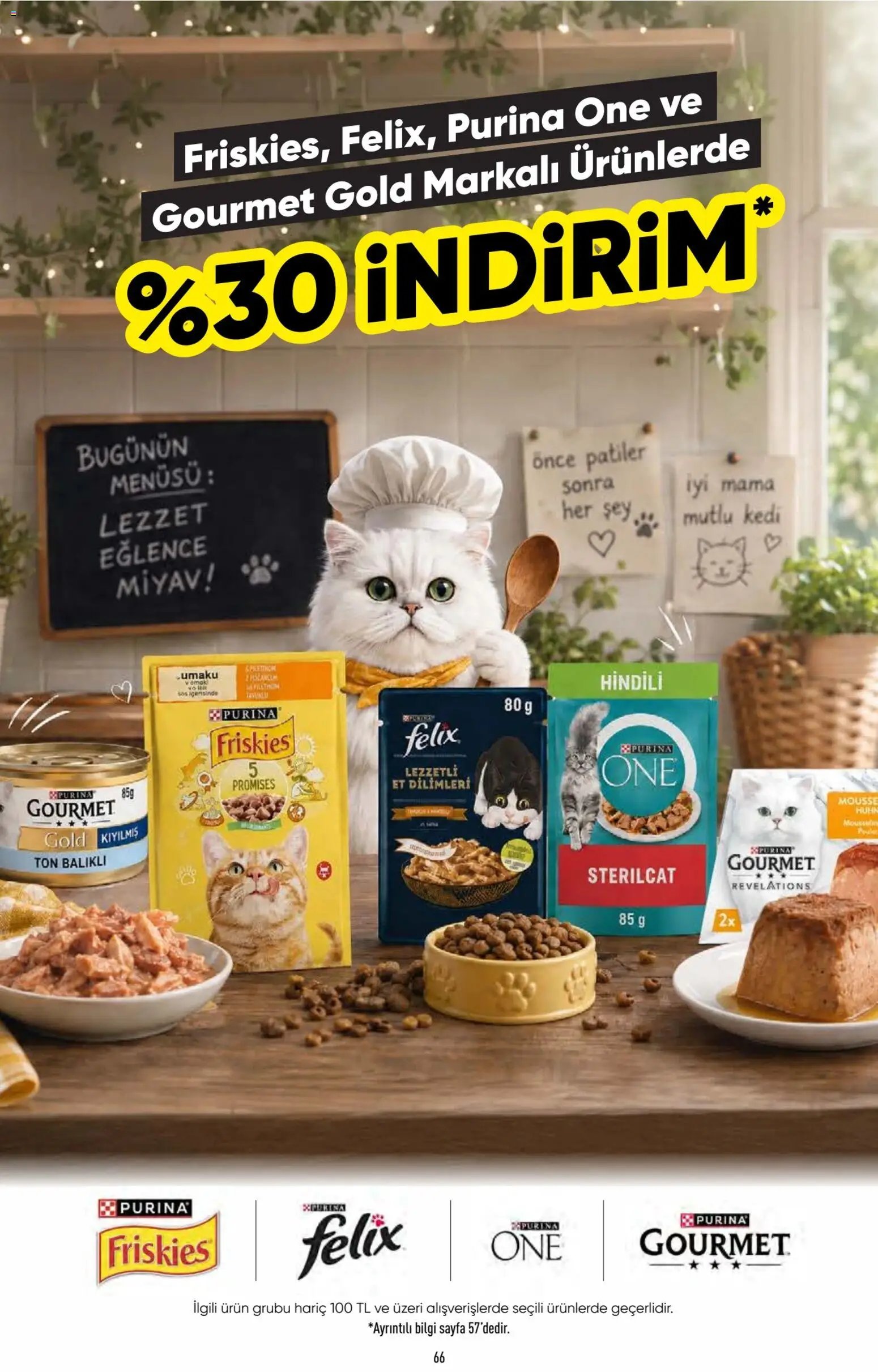 CarrefourSA Katalog
