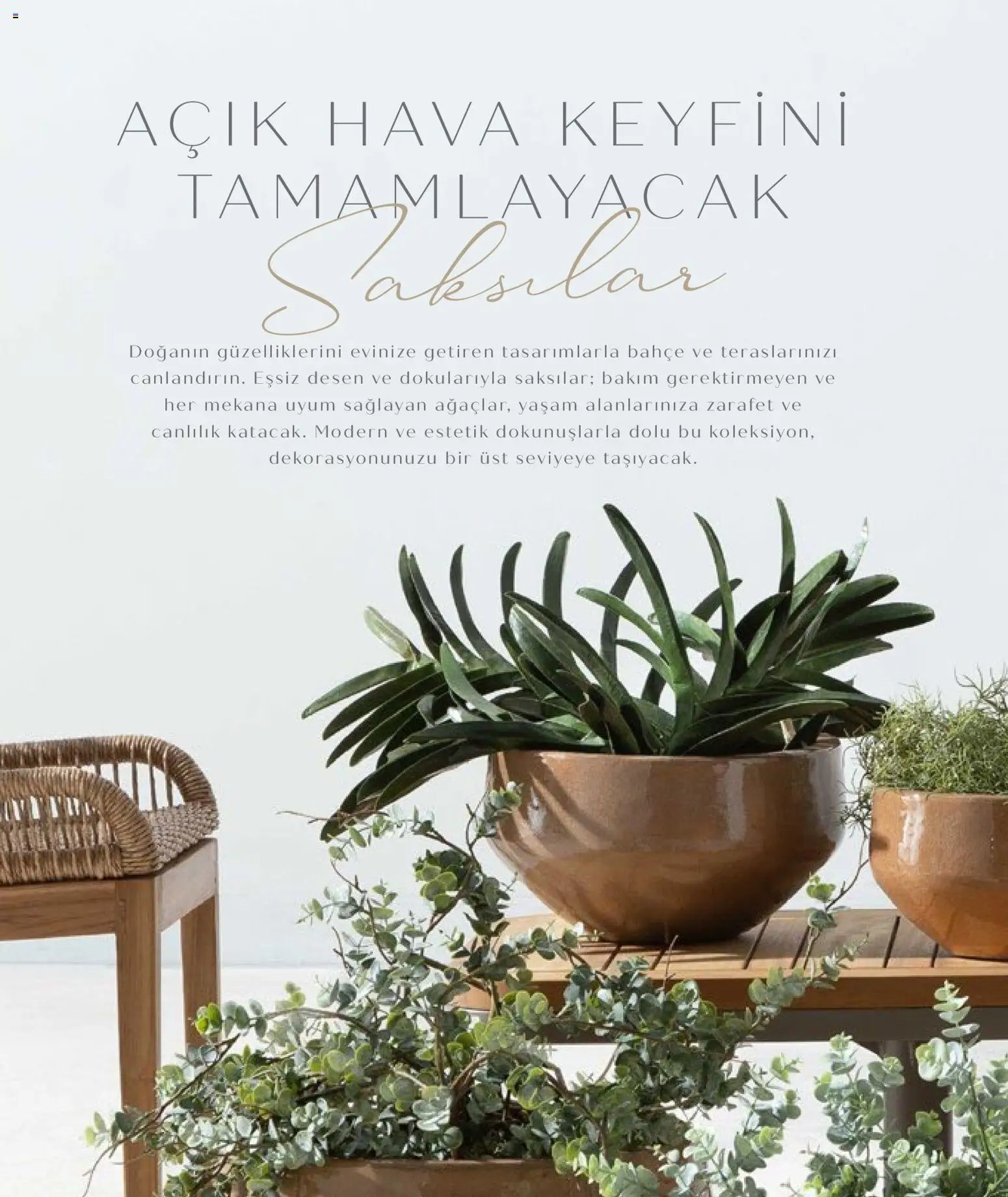 Mudo - Katalog Saksi 2026