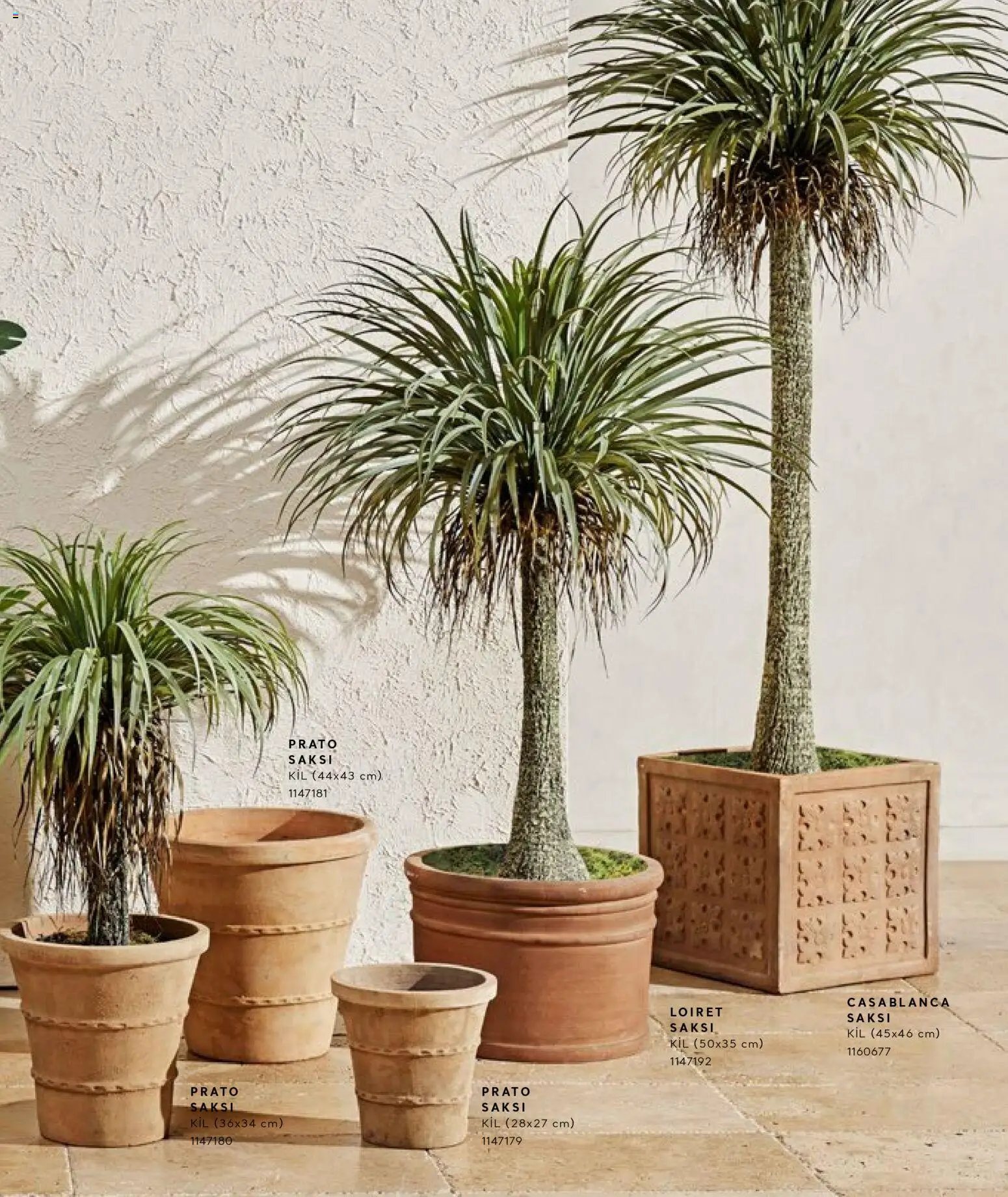 Mudo - Katalog Saksi 2026