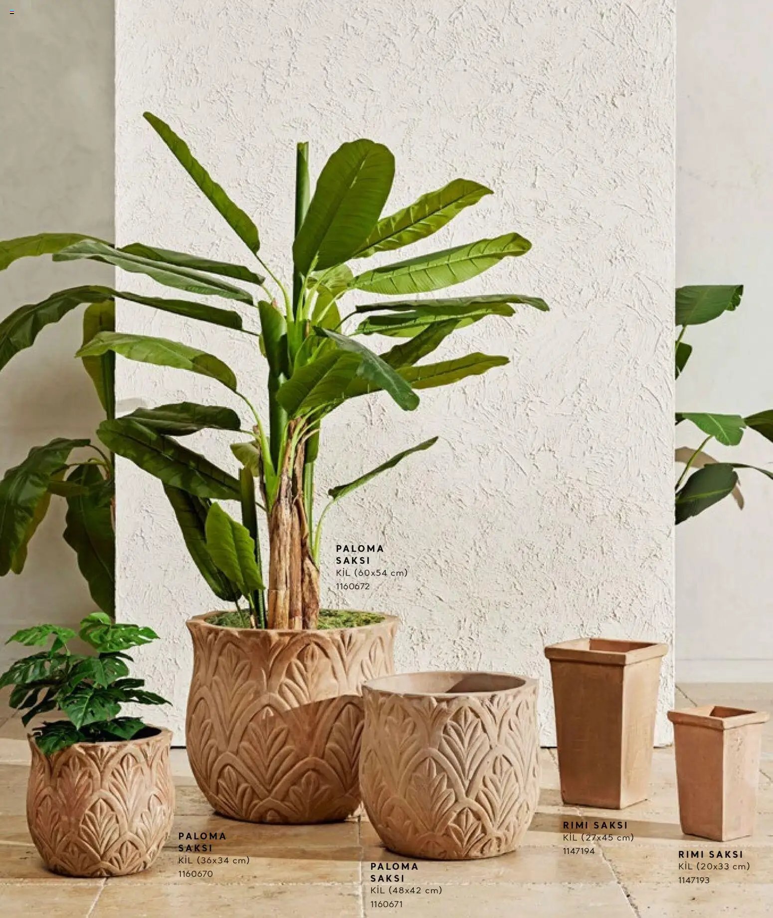 Mudo - Katalog Saksi 2026