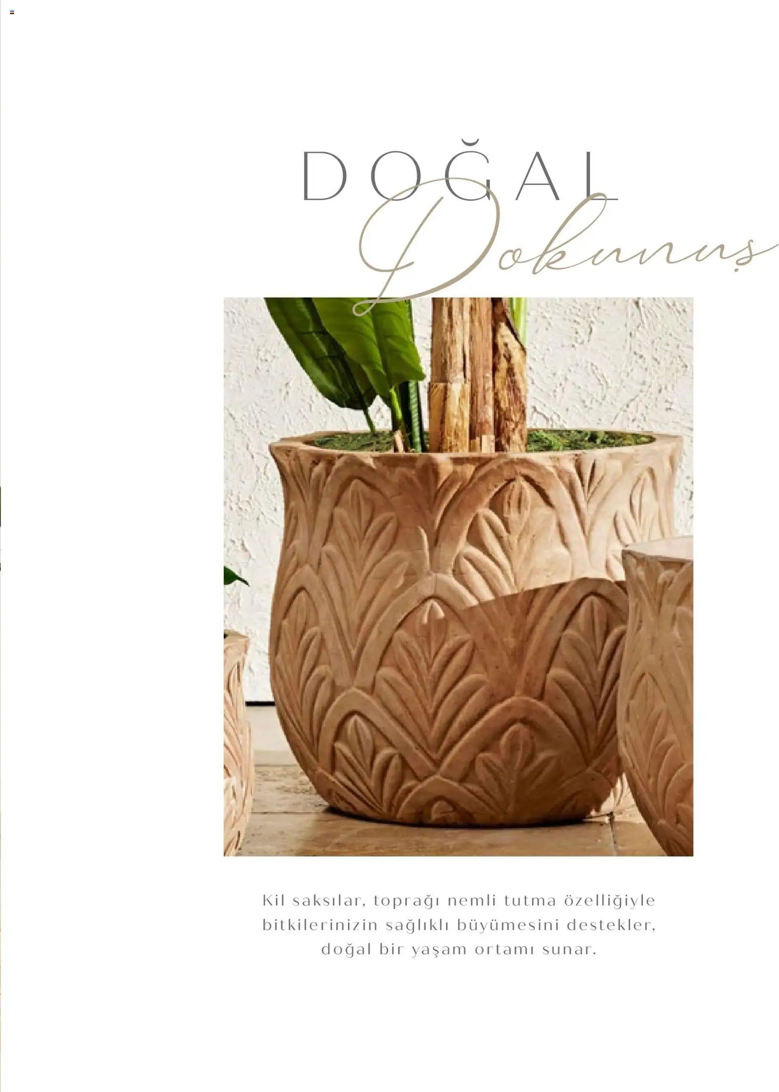 Mudo - Katalog Saksi 2026