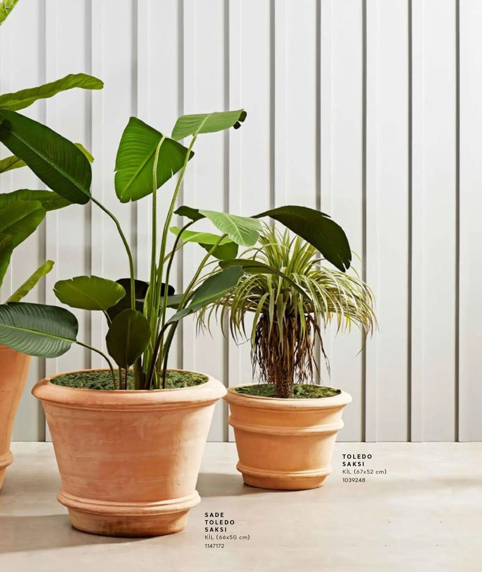 Mudo - Katalog Saksi 2026