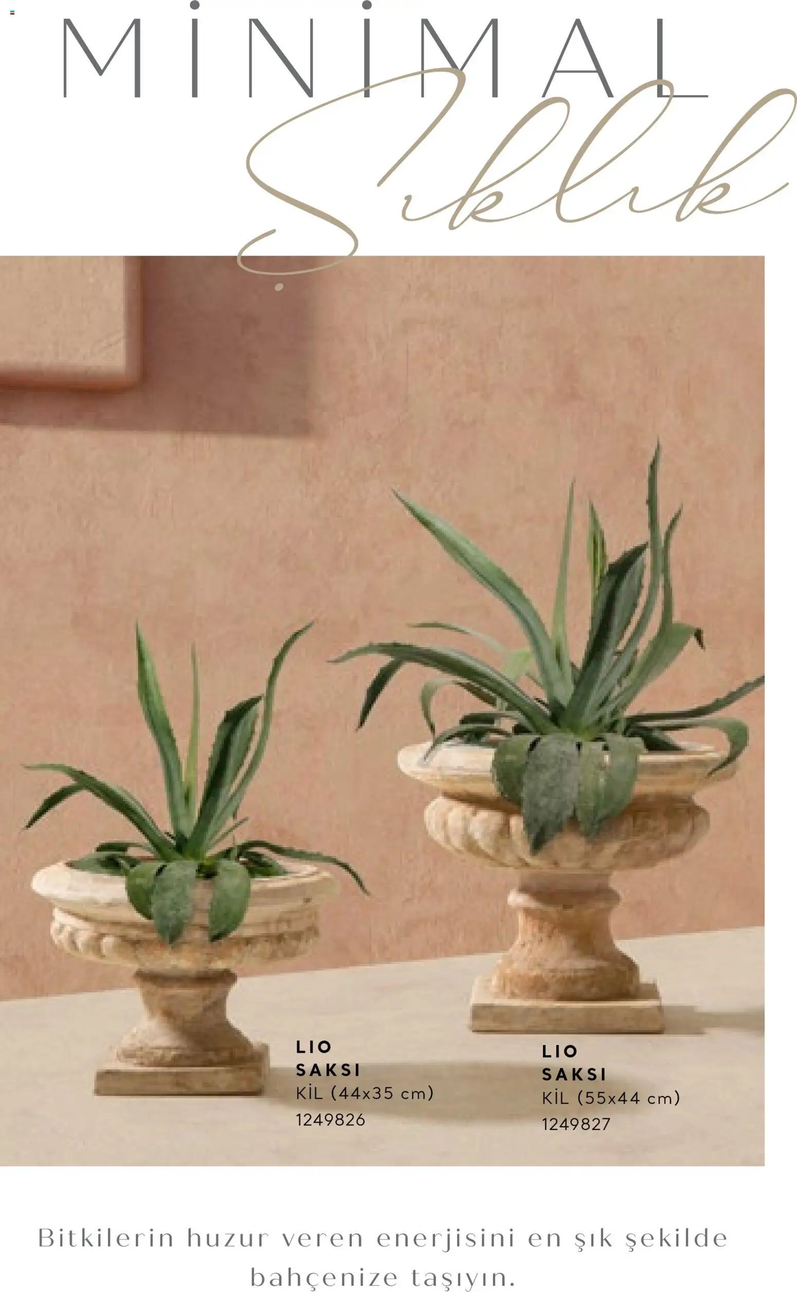 Mudo - Katalog Saksi 2026