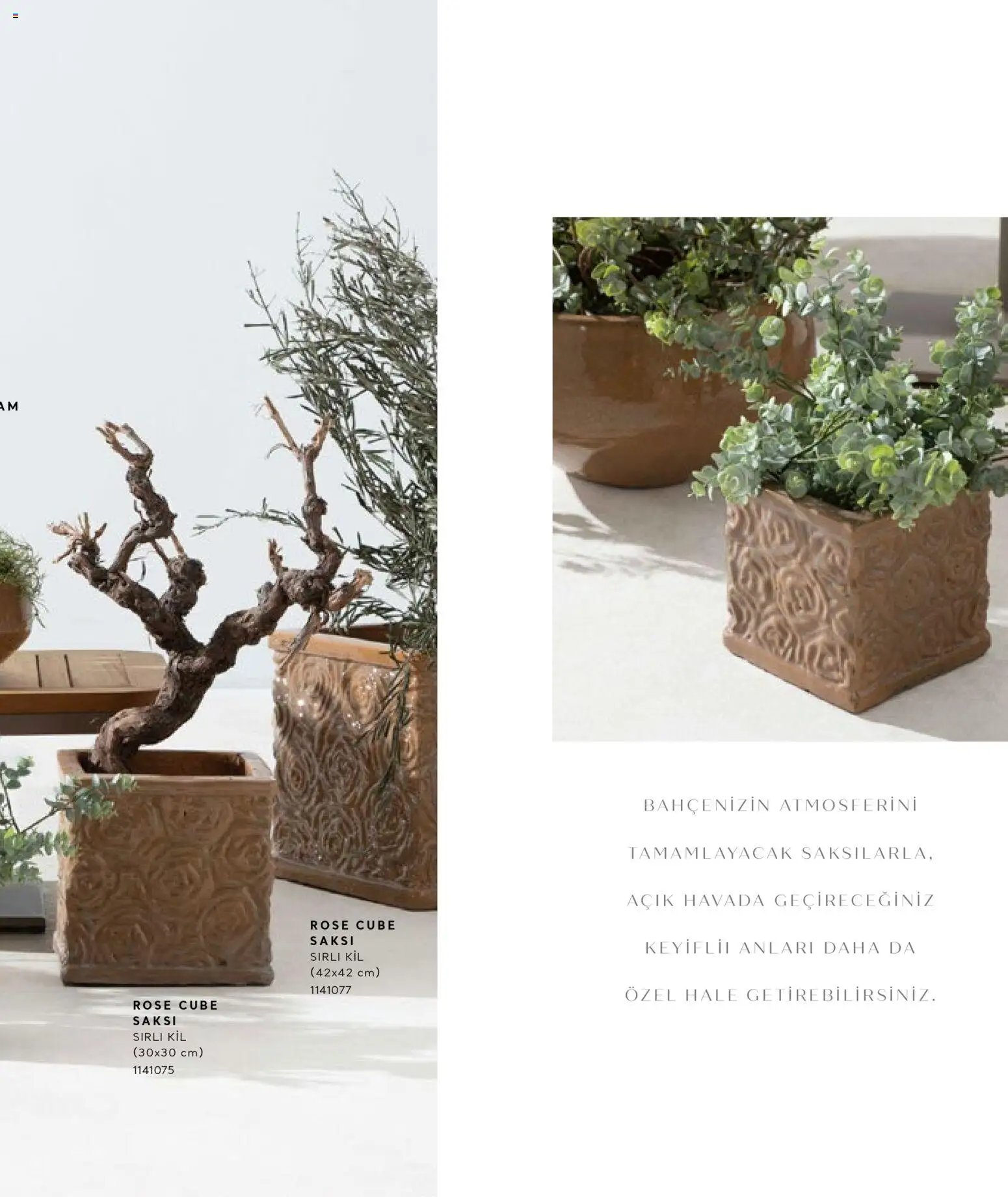 Mudo - Katalog Saksi 2026