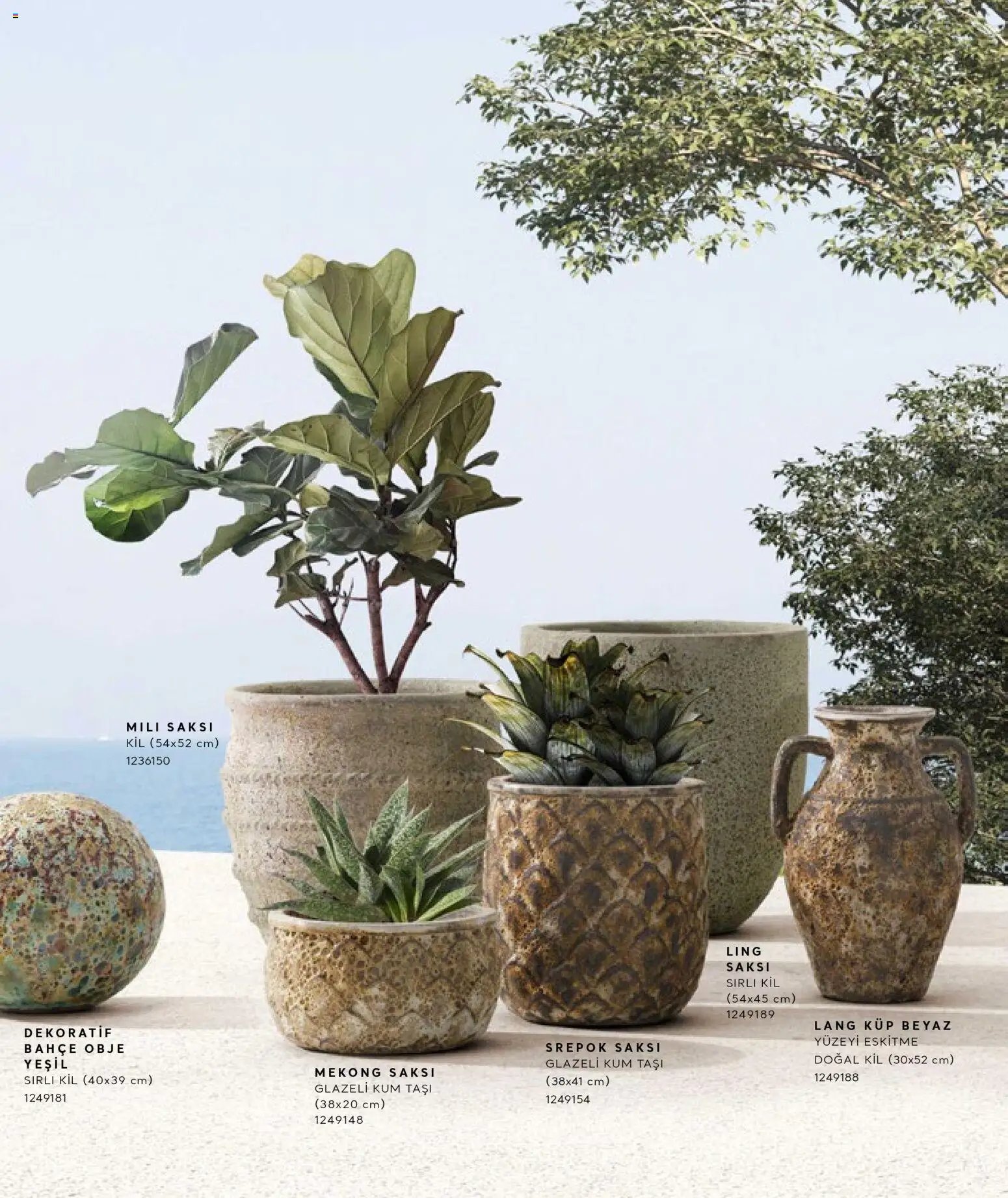 Mudo - Katalog Saksi 2026