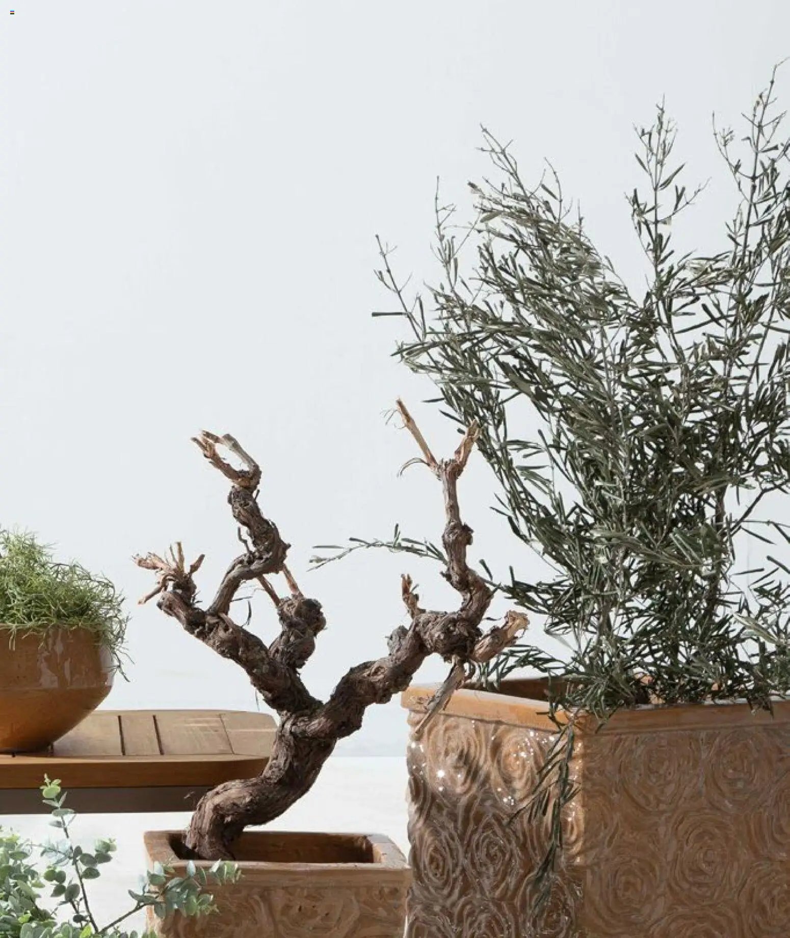 Mudo - Katalog Saksi 2026