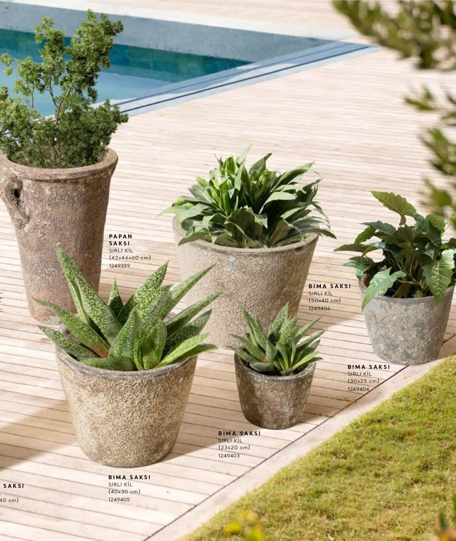 Mudo - Katalog Saksi 2026