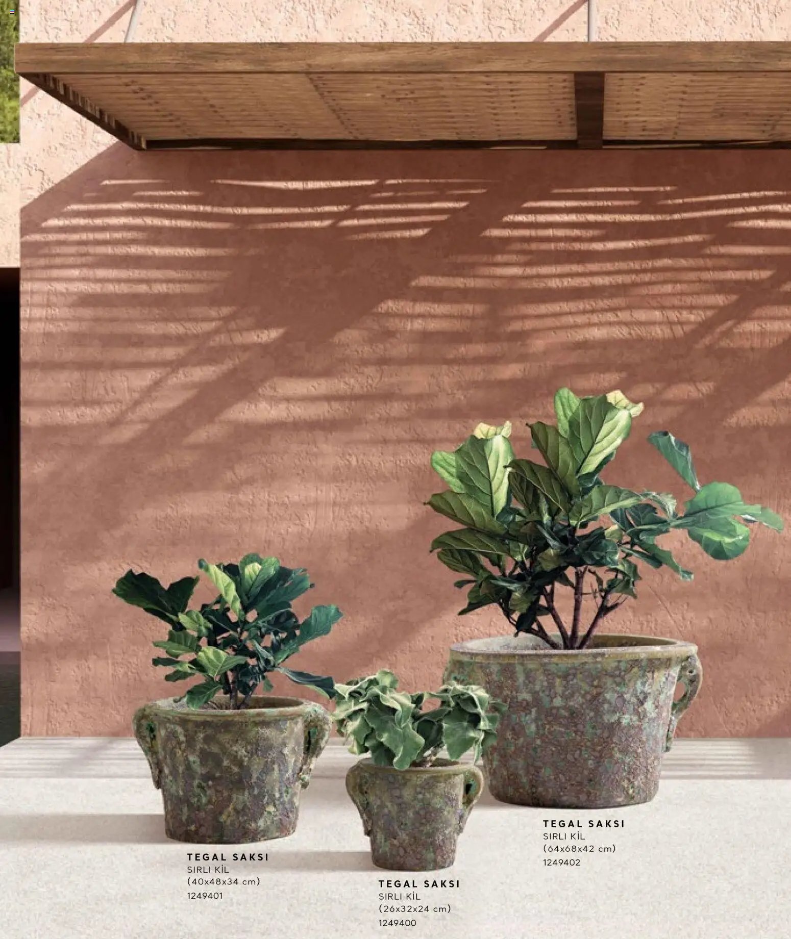 Mudo - Katalog Saksi 2026