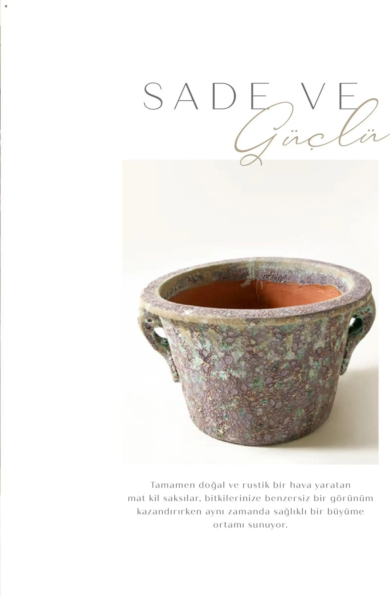 Mudo - Katalog Saksi 2026