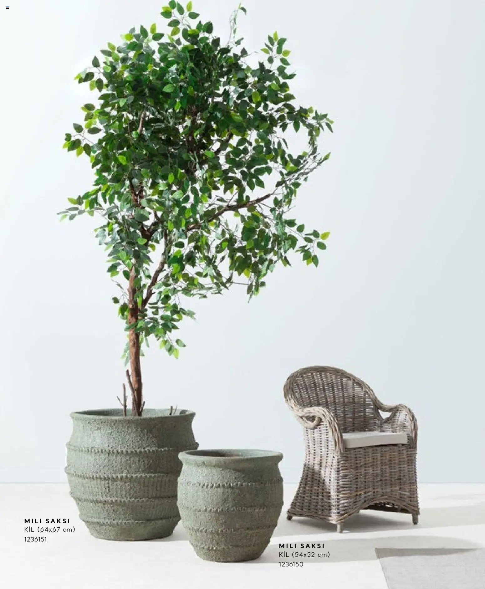 Mudo - Katalog Saksi 2026