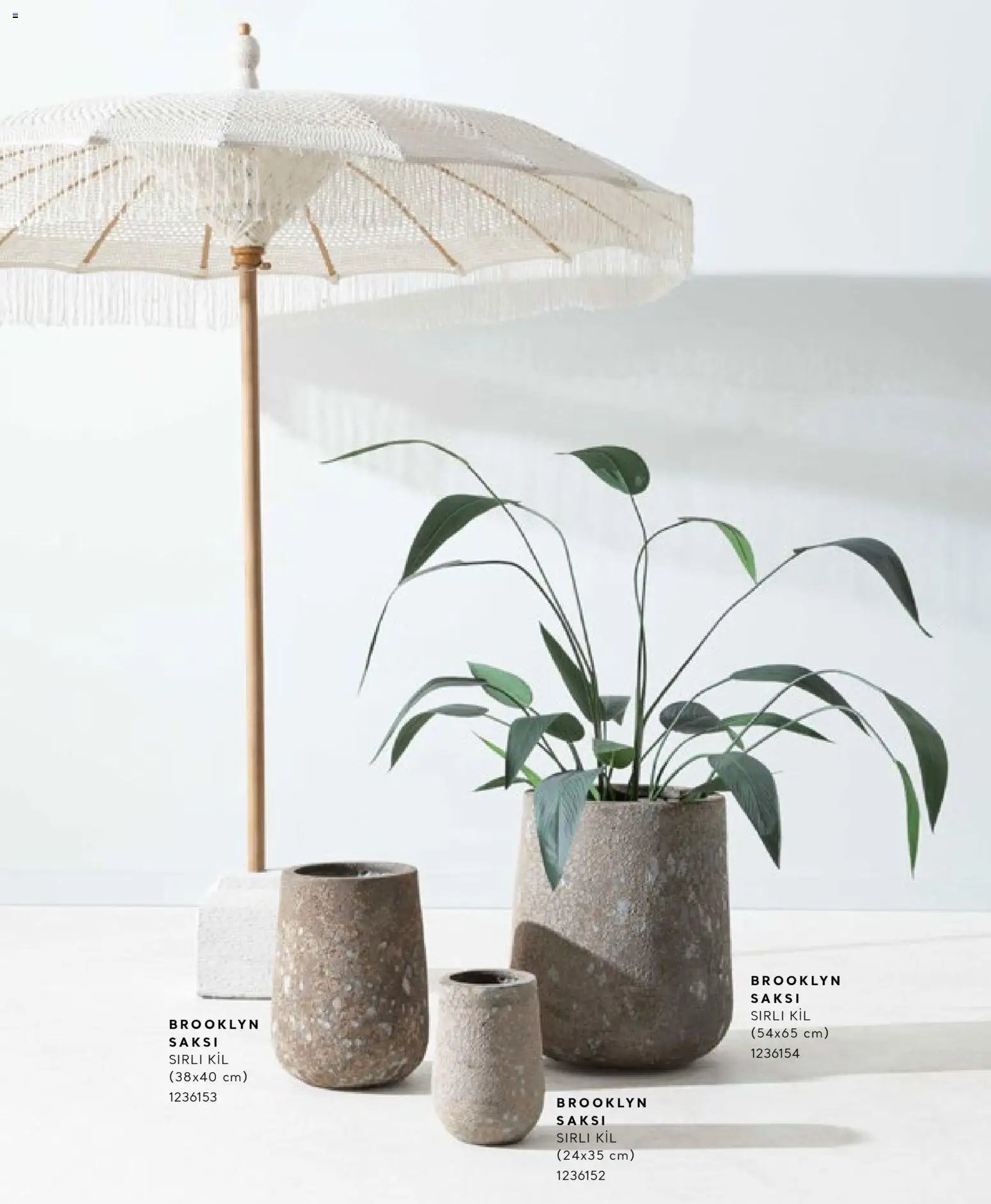 Mudo - Katalog Saksi 2026