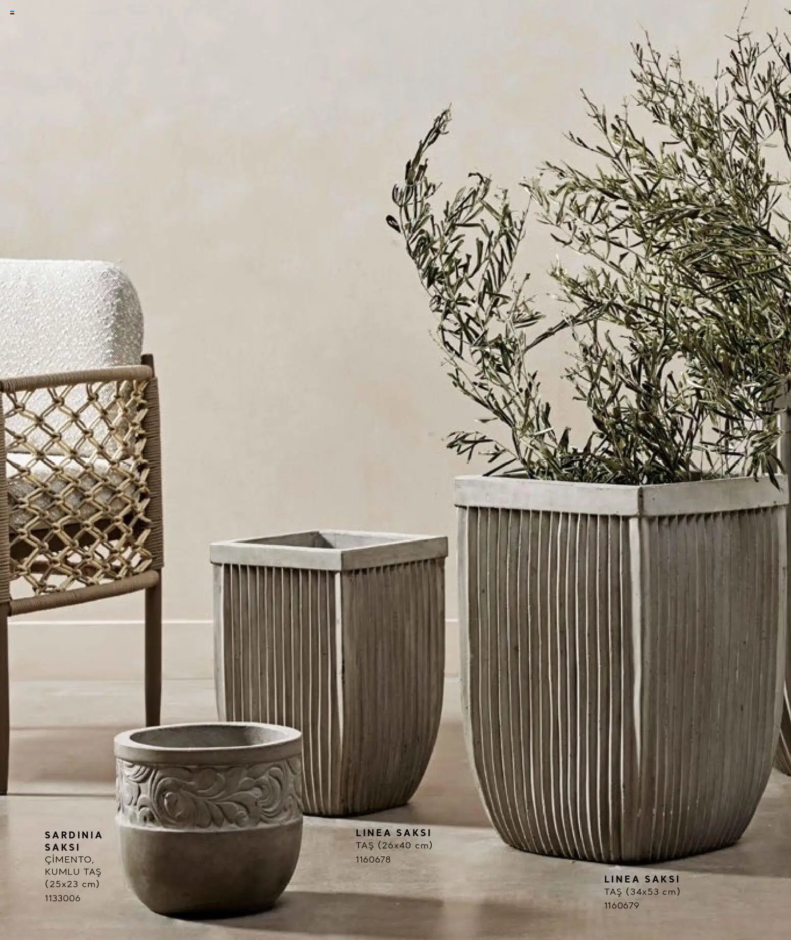 Mudo - Katalog Saksi 2026