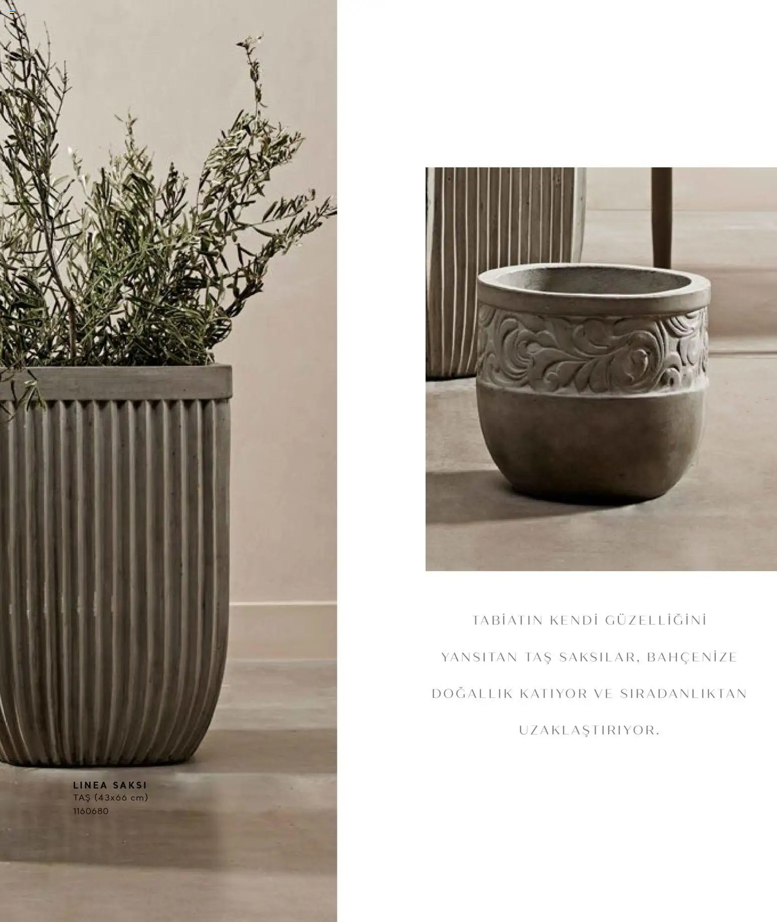 Mudo - Katalog Saksi 2026