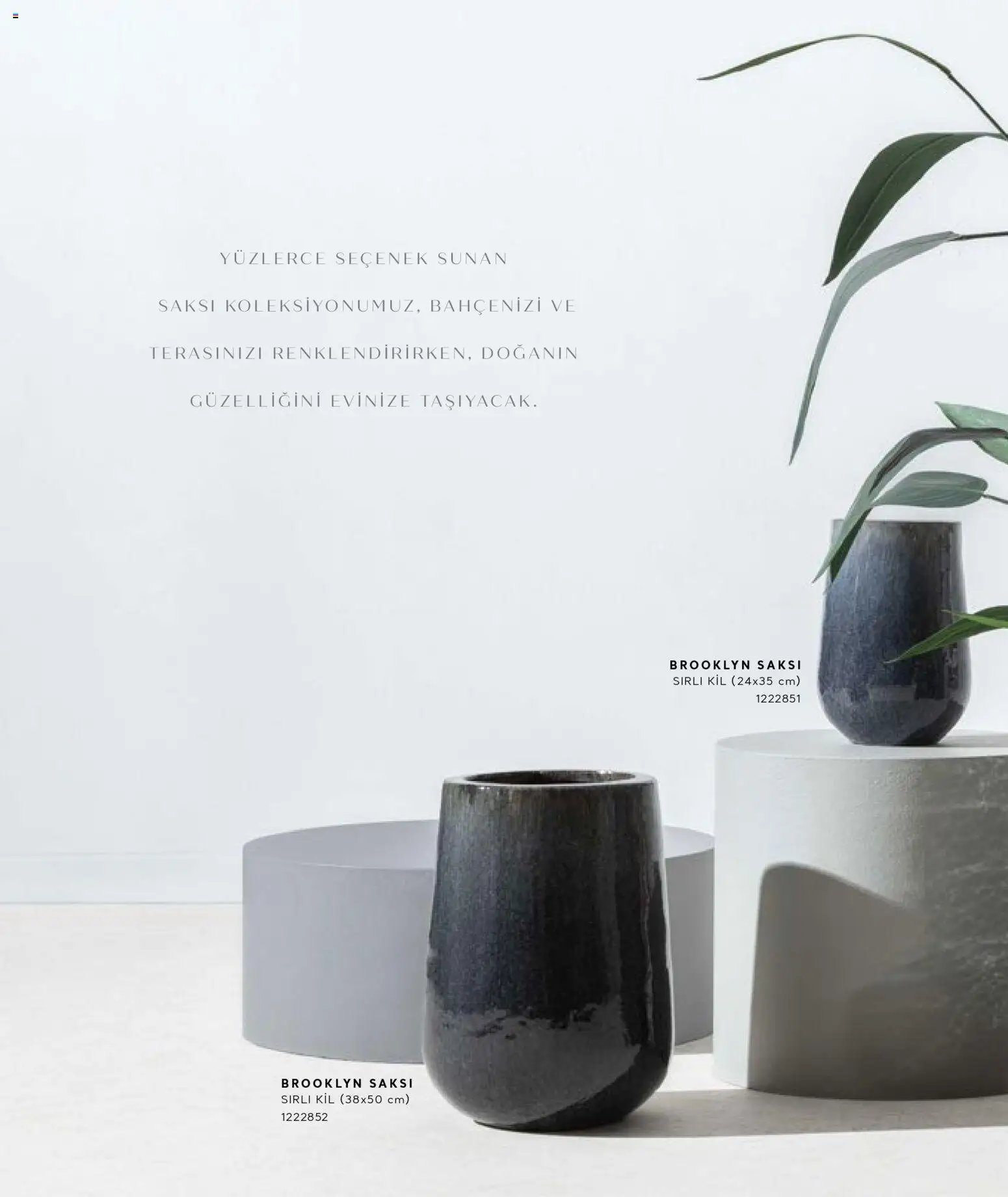 Mudo - Katalog Saksi 2026