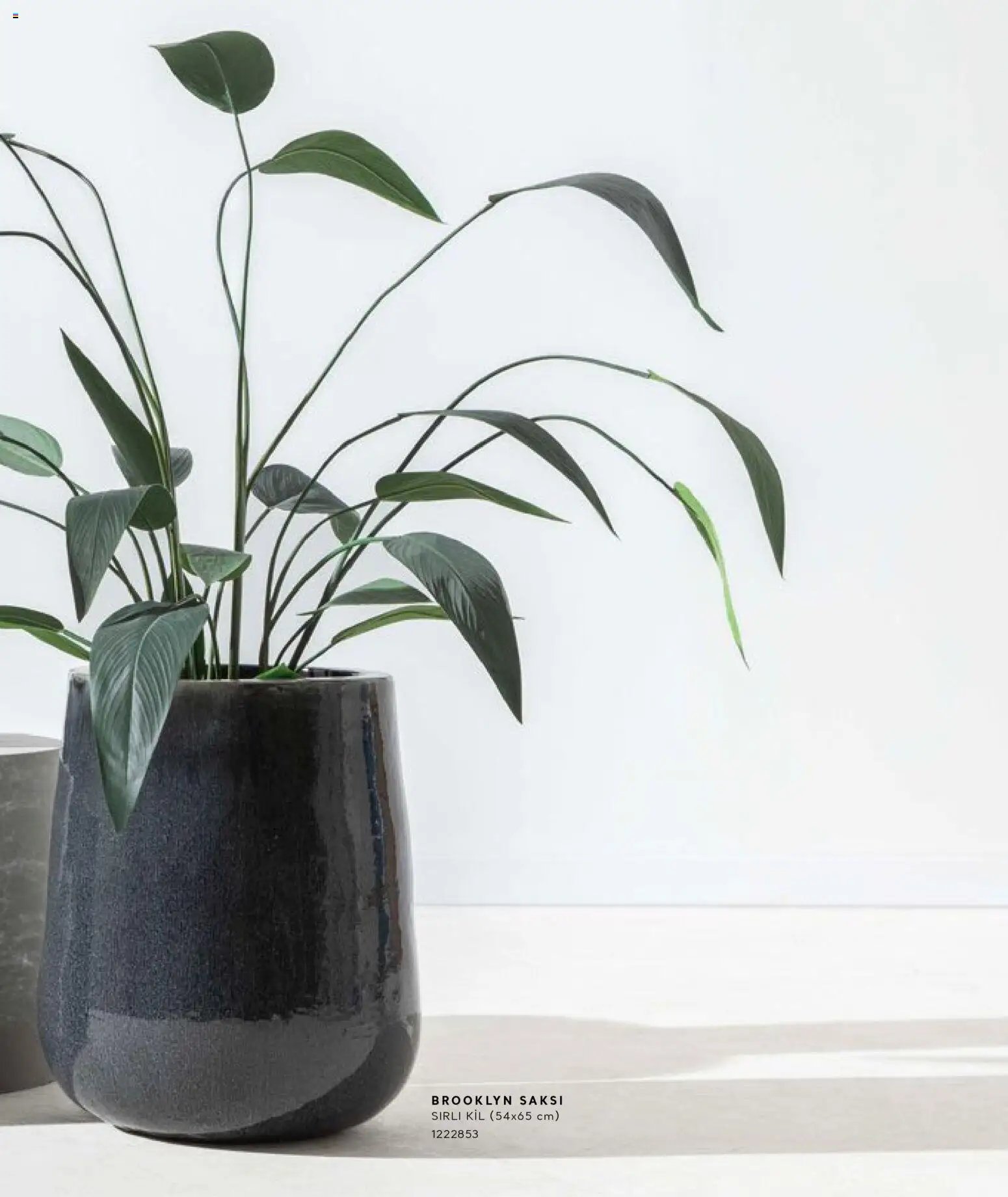 Mudo - Katalog Saksi 2026