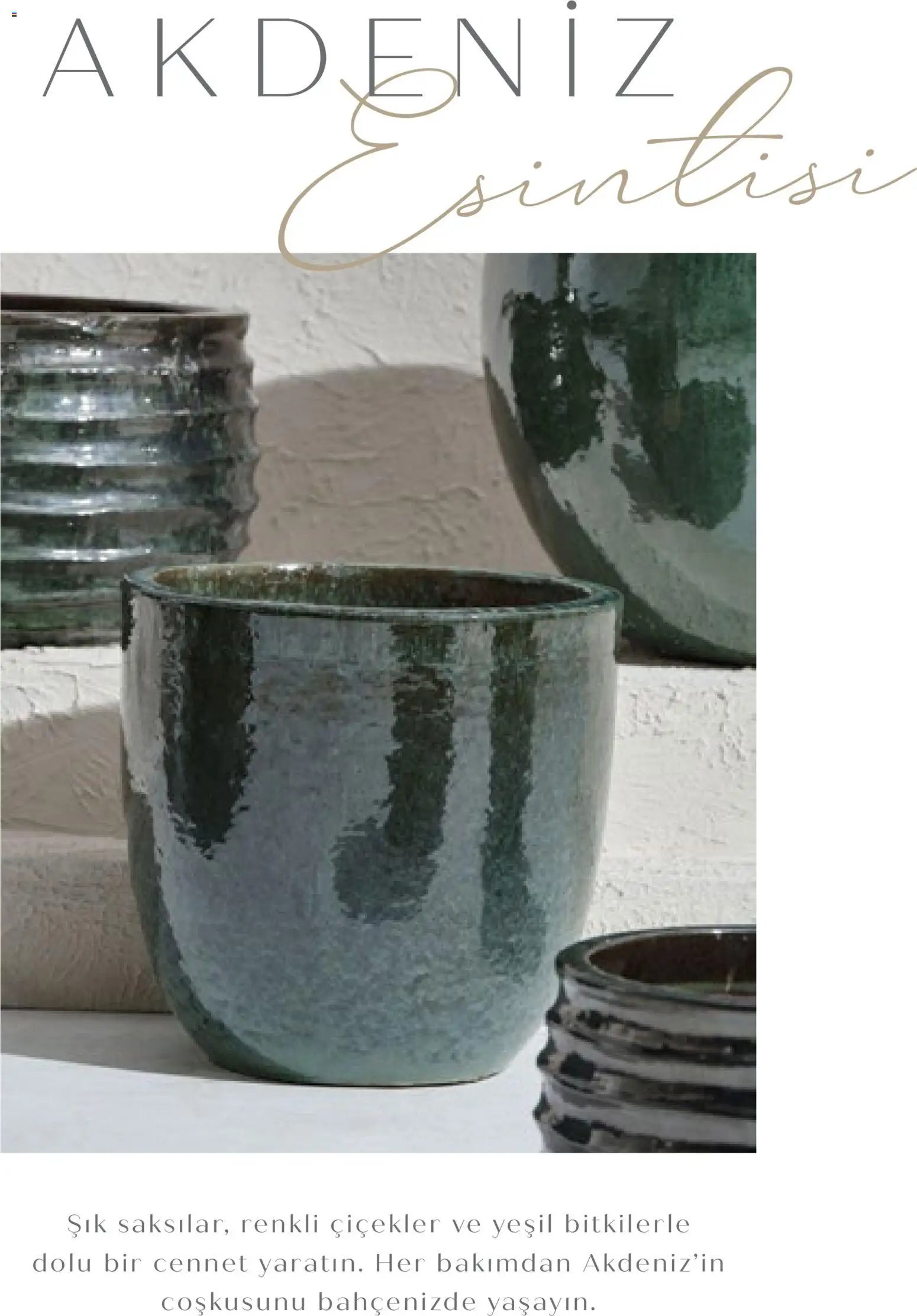 Mudo - Katalog Saksi 2026