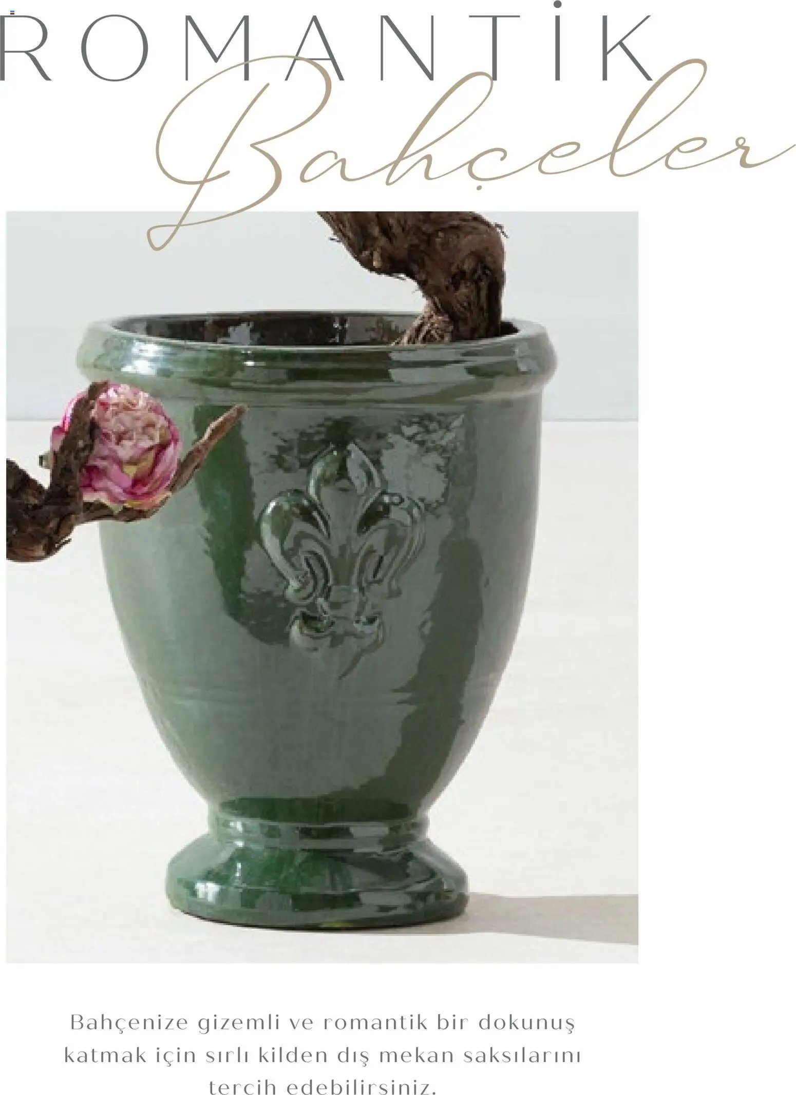 Mudo - Katalog Saksi 2026