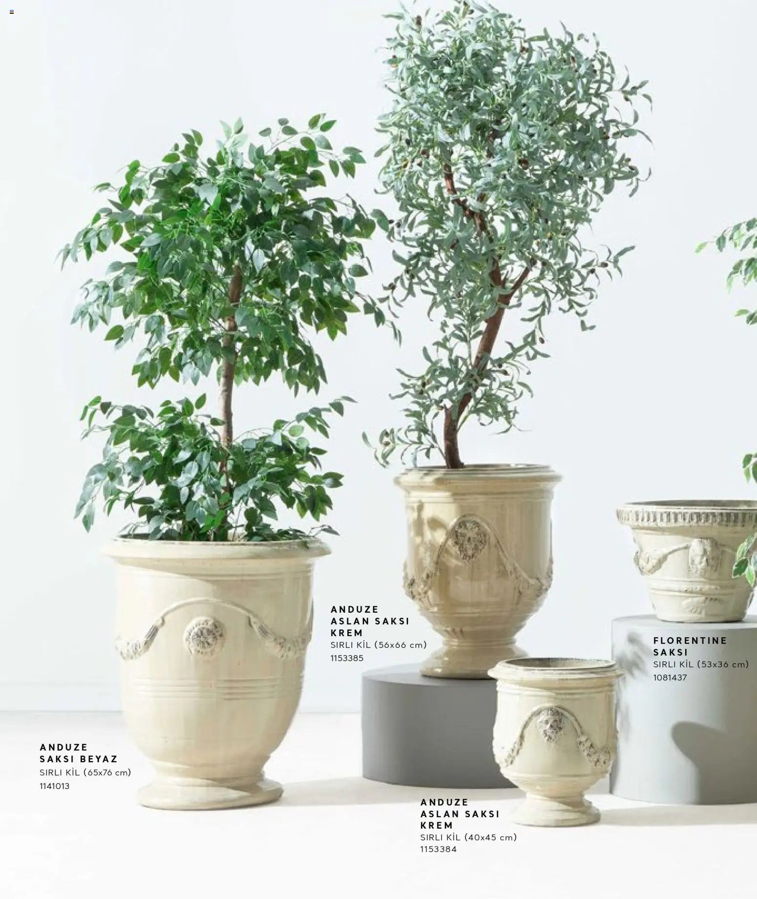 Mudo - Katalog Saksi 2026