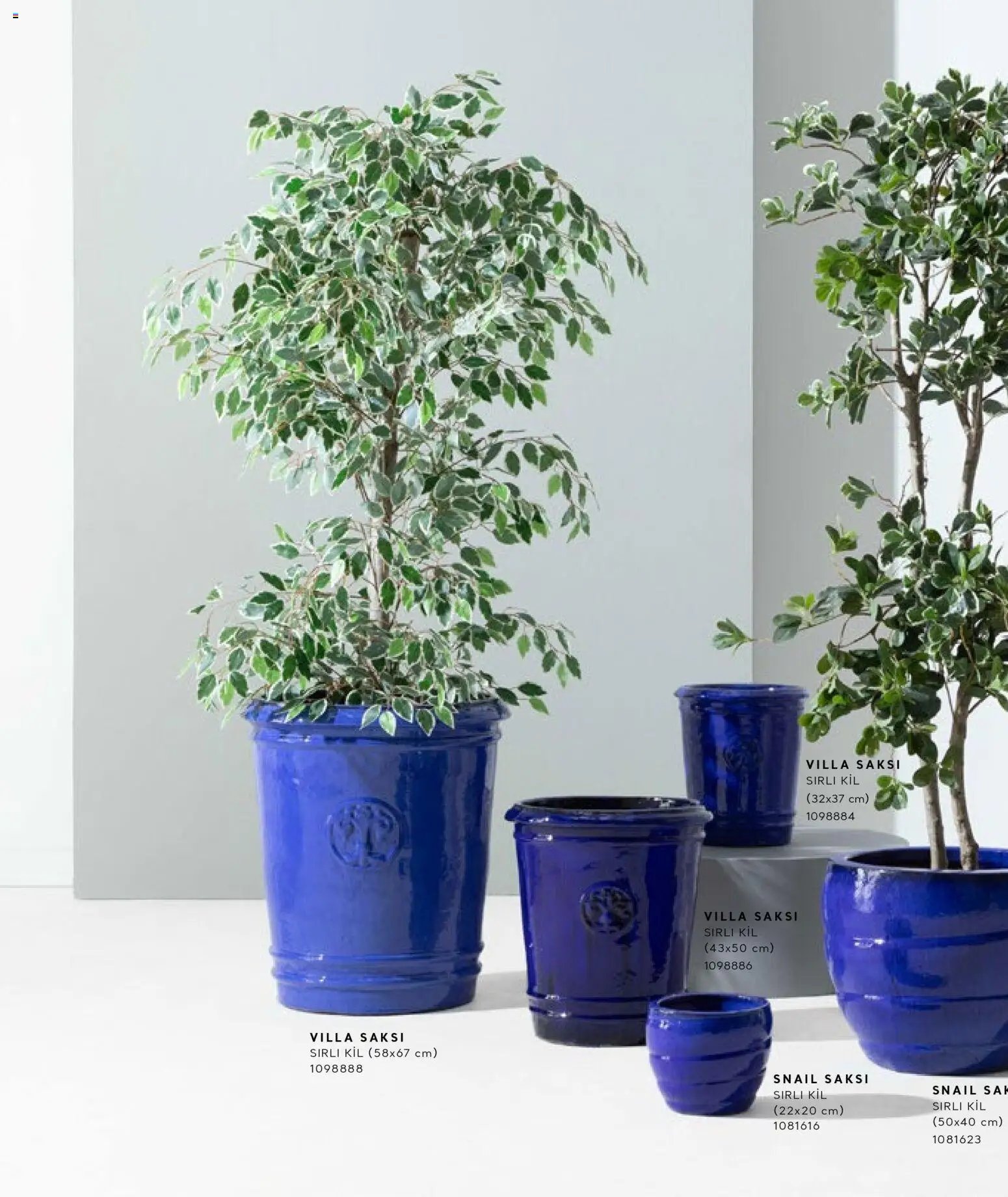 Mudo - Katalog Saksi 2026