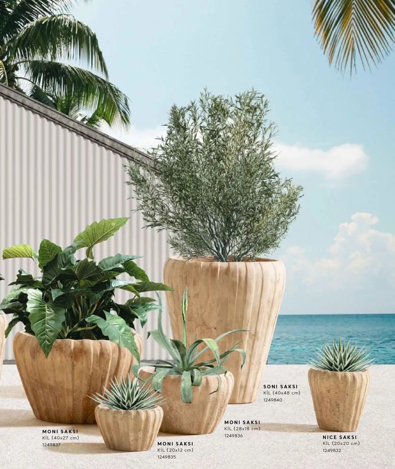 Mudo - Katalog Saksi 2026