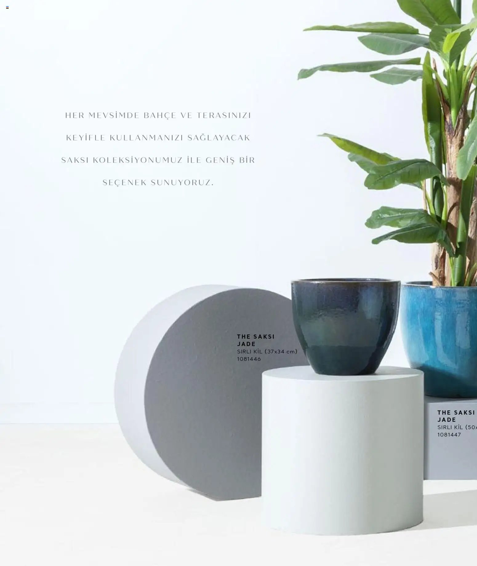 Mudo - Katalog Saksi 2026