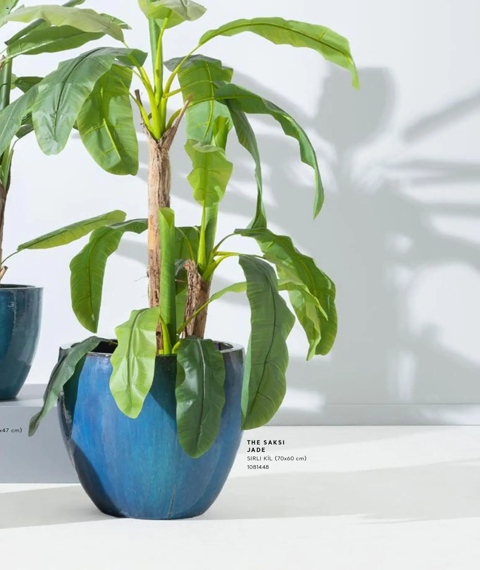 Mudo - Katalog Saksi 2026