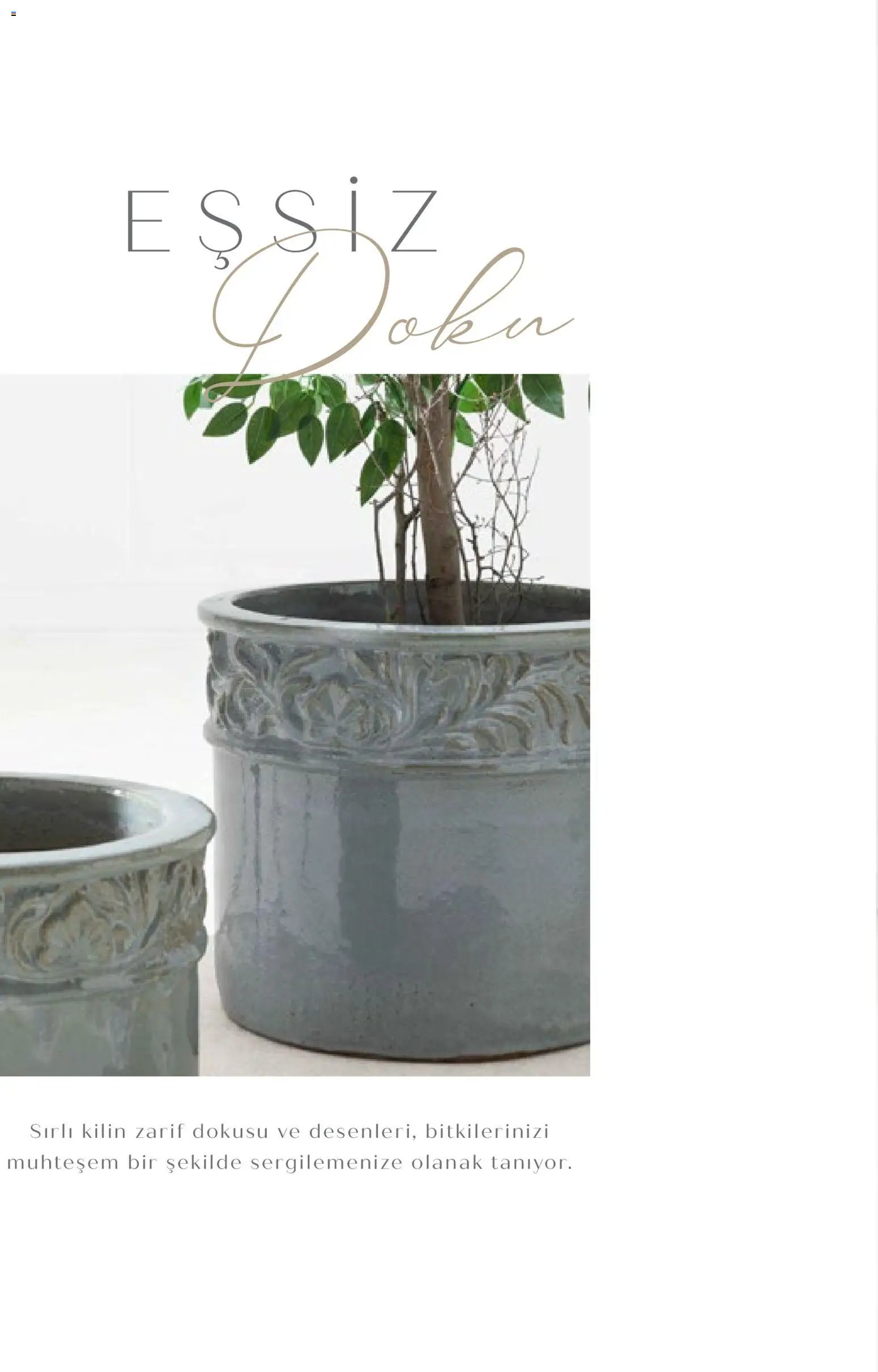 Mudo - Katalog Saksi 2026