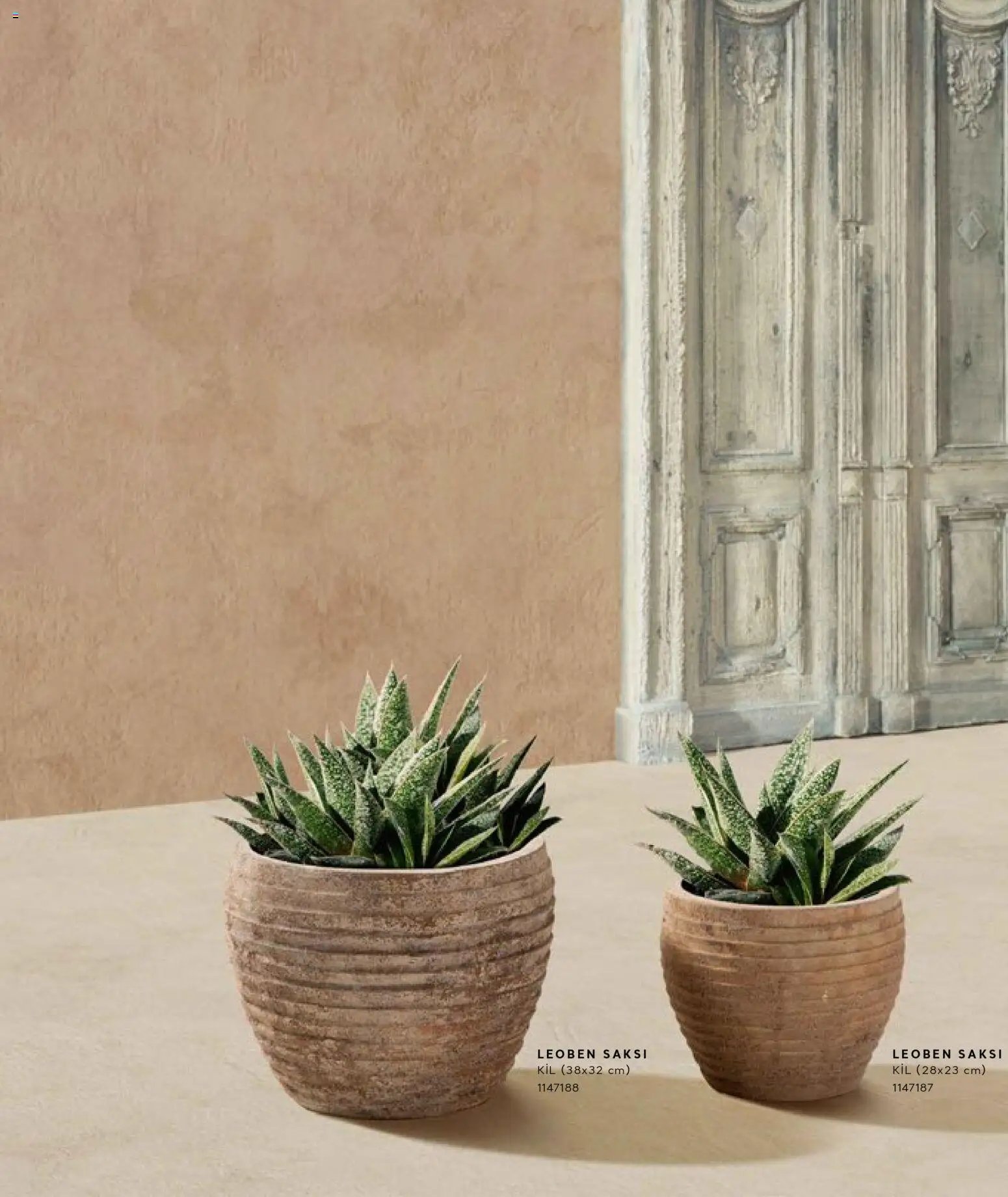 Mudo - Katalog Saksi 2026