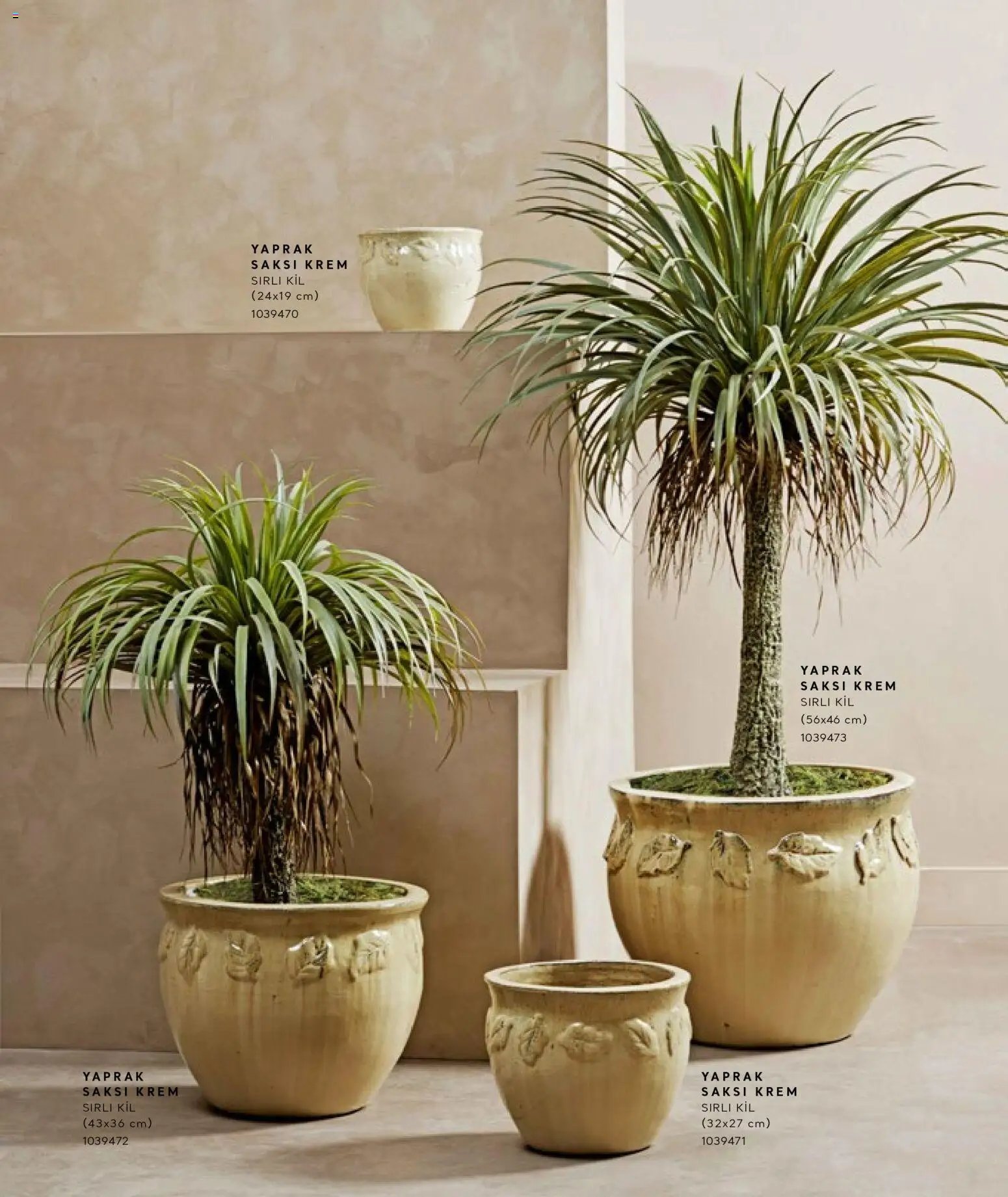 Mudo - Katalog Saksi 2026