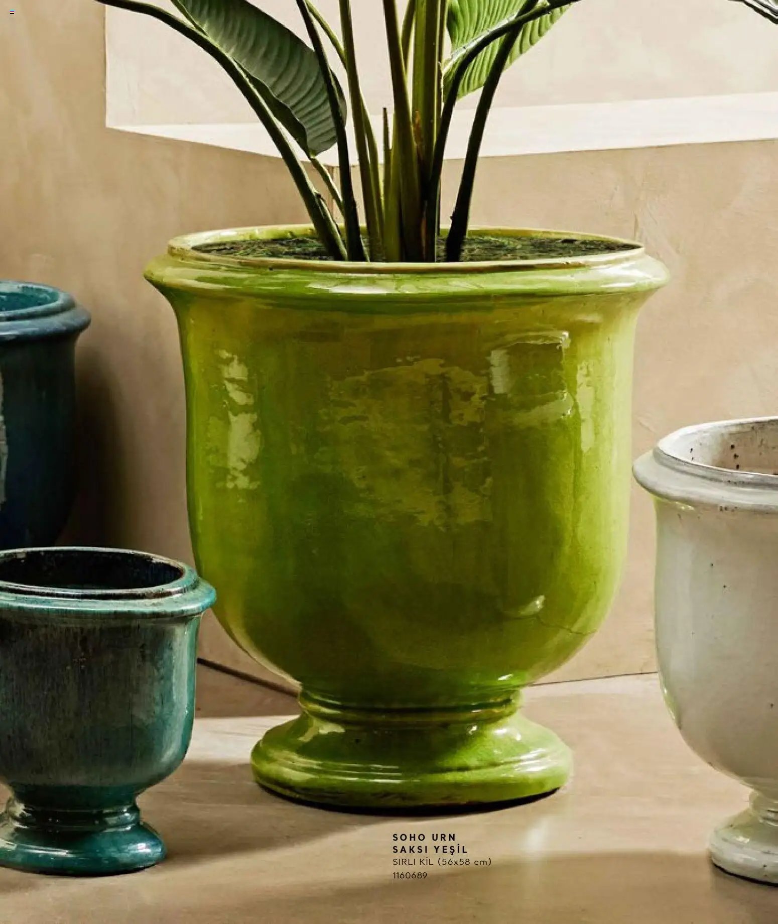 Mudo - Katalog Saksi 2026