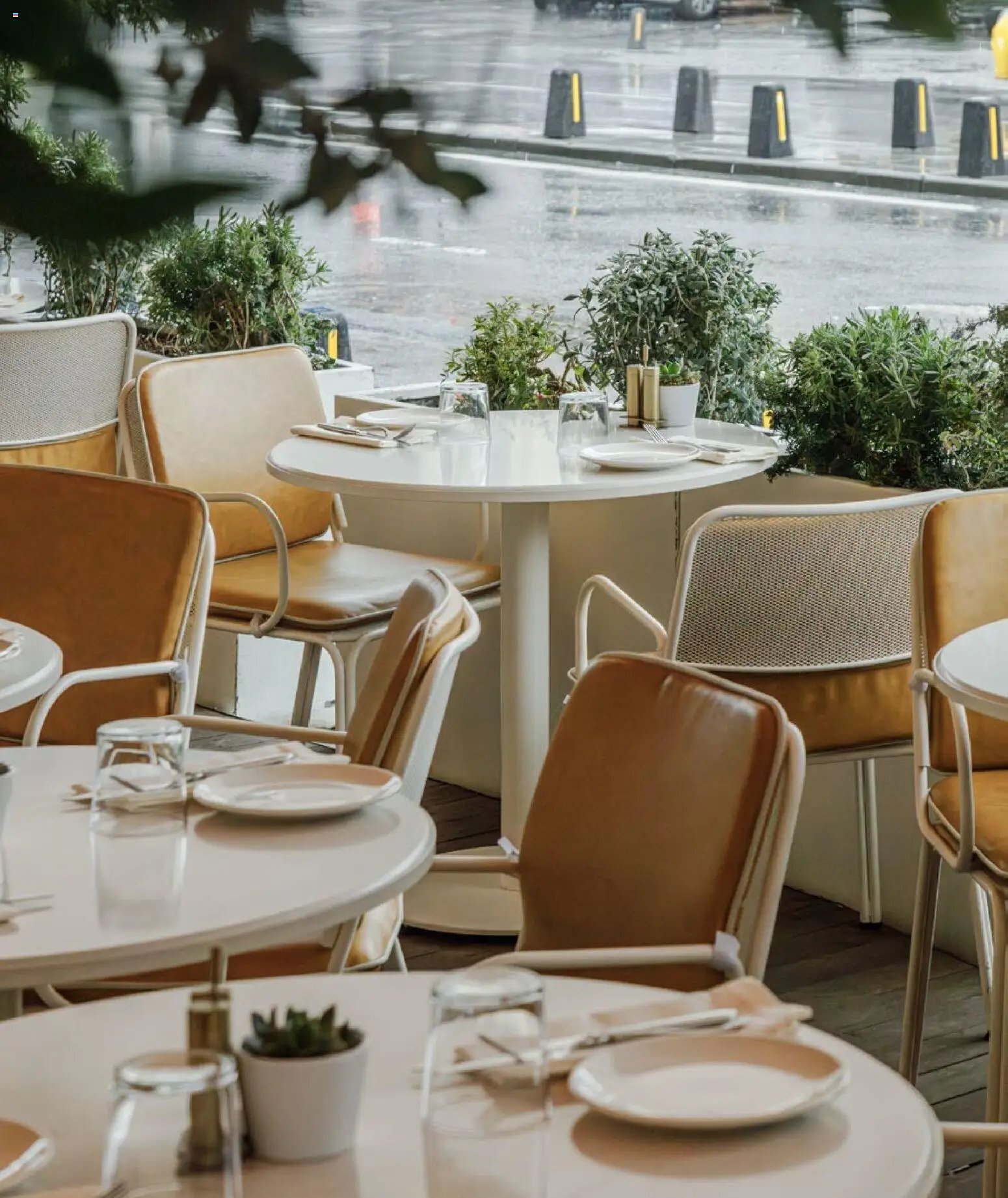 Mudo - Katalog Saksi 2026