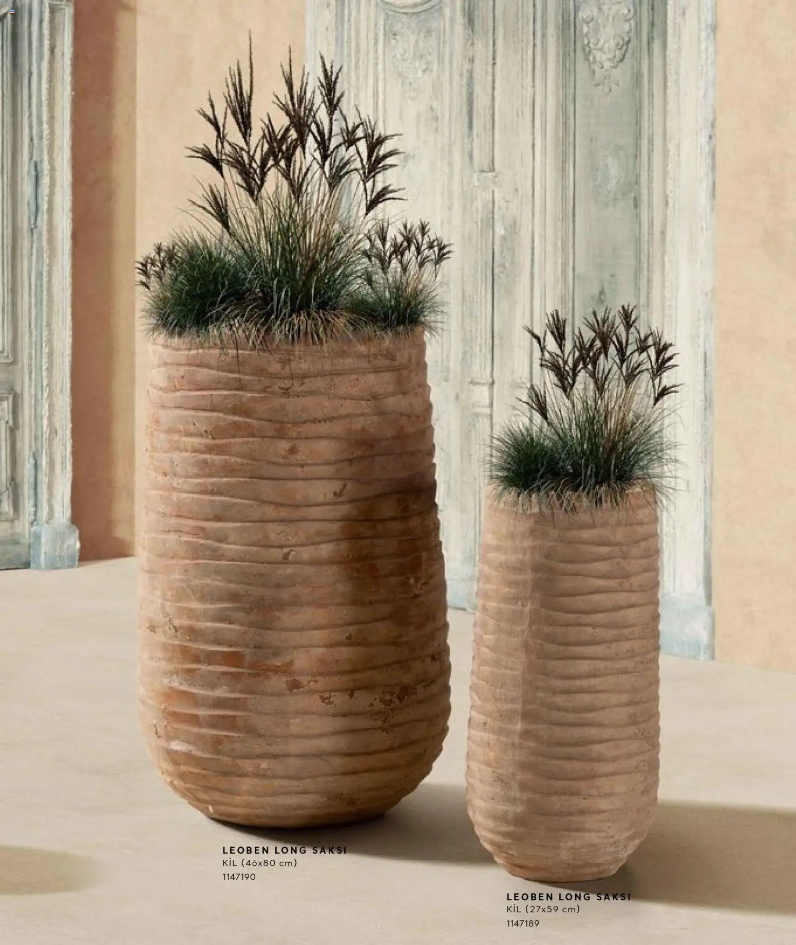 Mudo - Katalog Saksi 2026